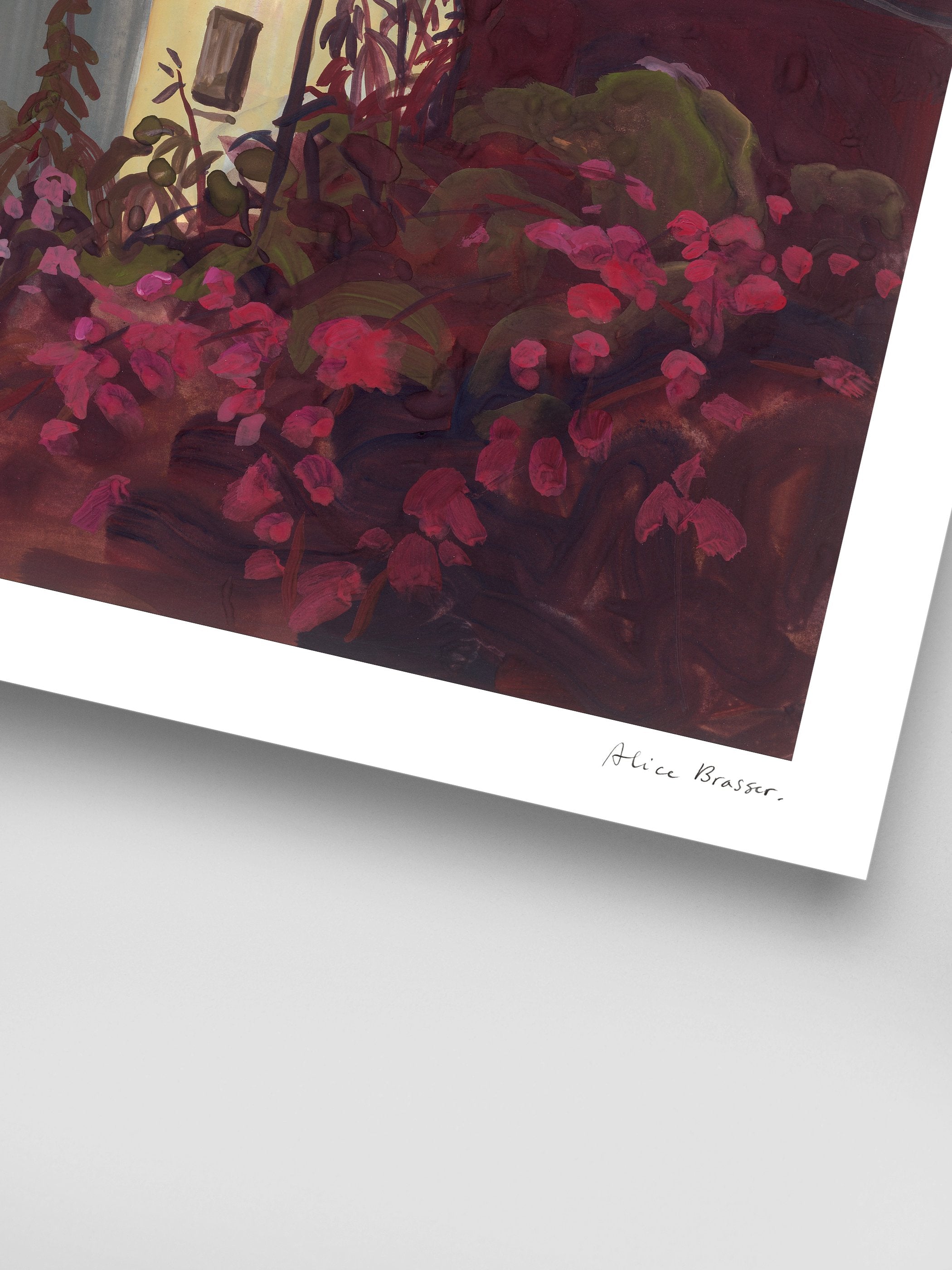 Alice Brasser - Bougainville