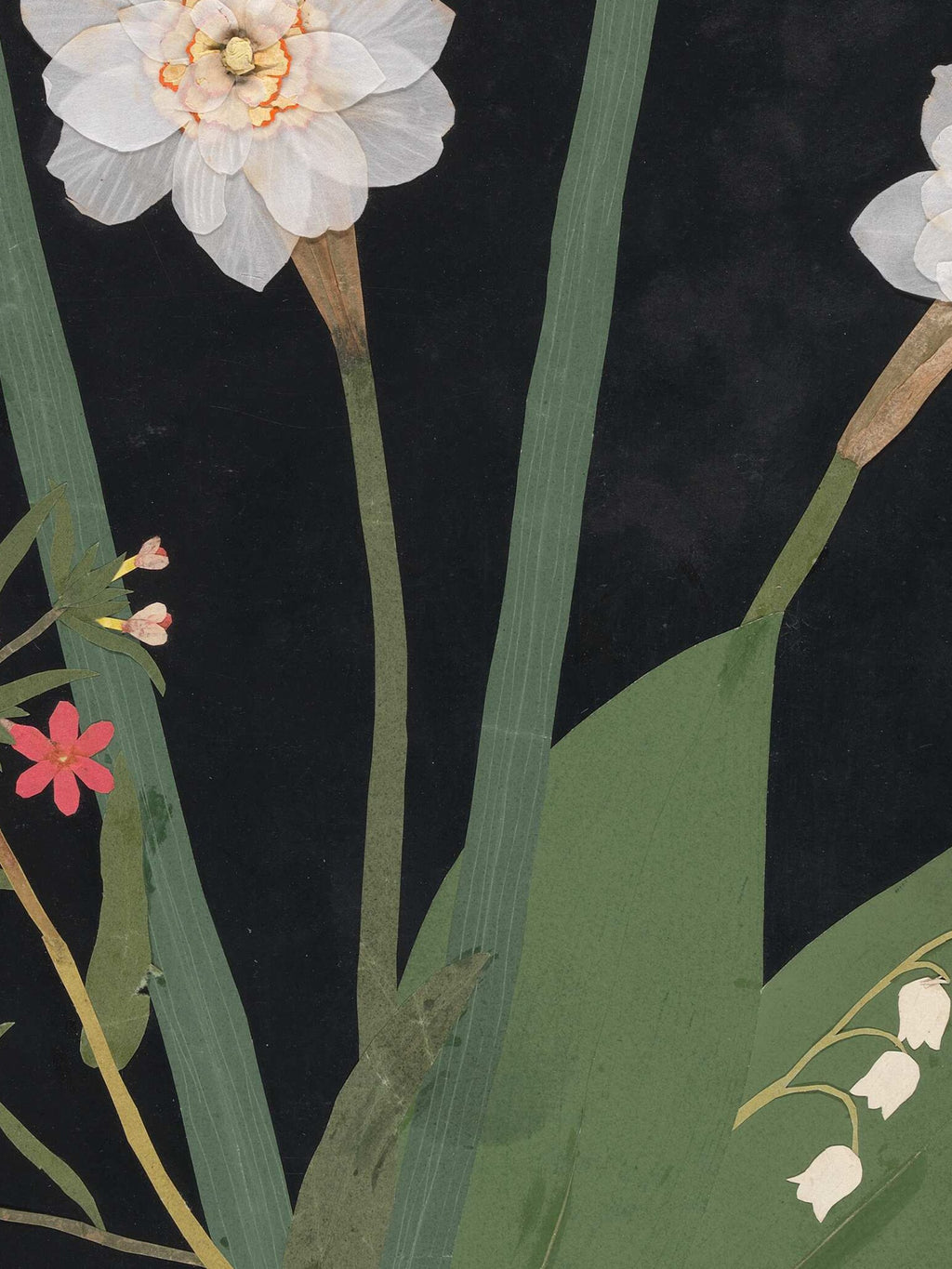 Ellen W. - Cut-paper flowers, 18