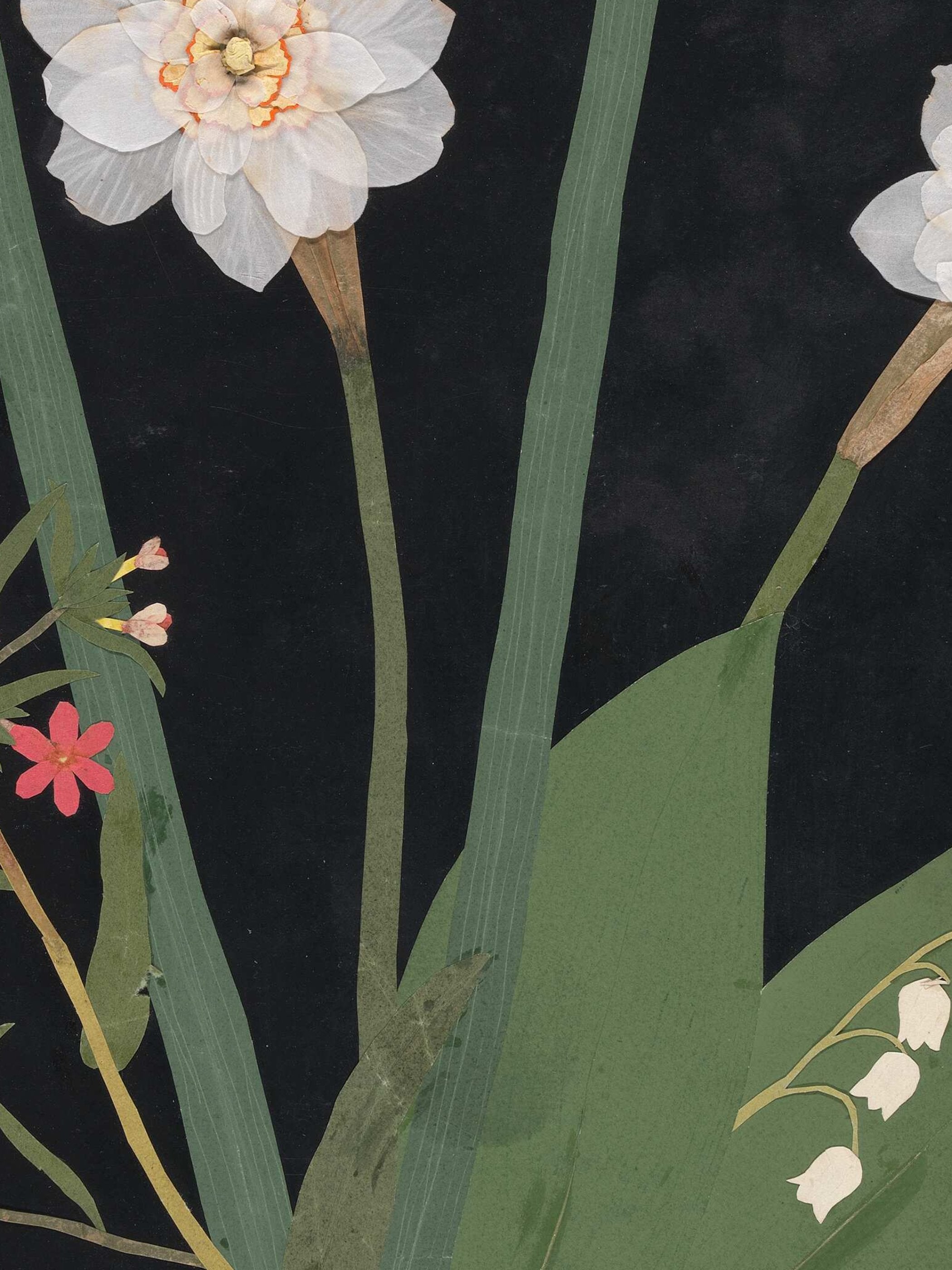 Ellen W. - Cut-paper flowers, 18