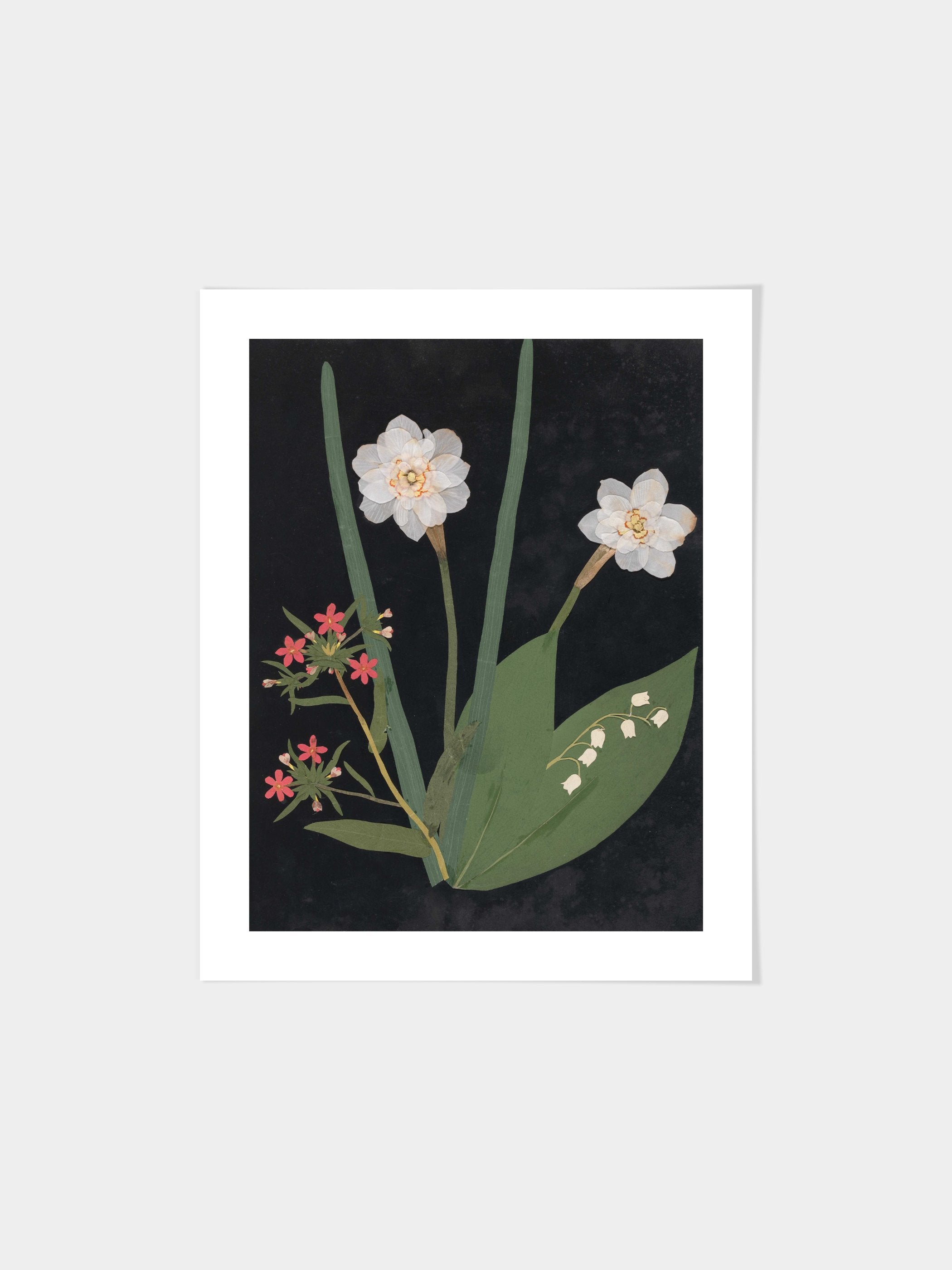 Ellen W. - Cut-paper flowers, 18