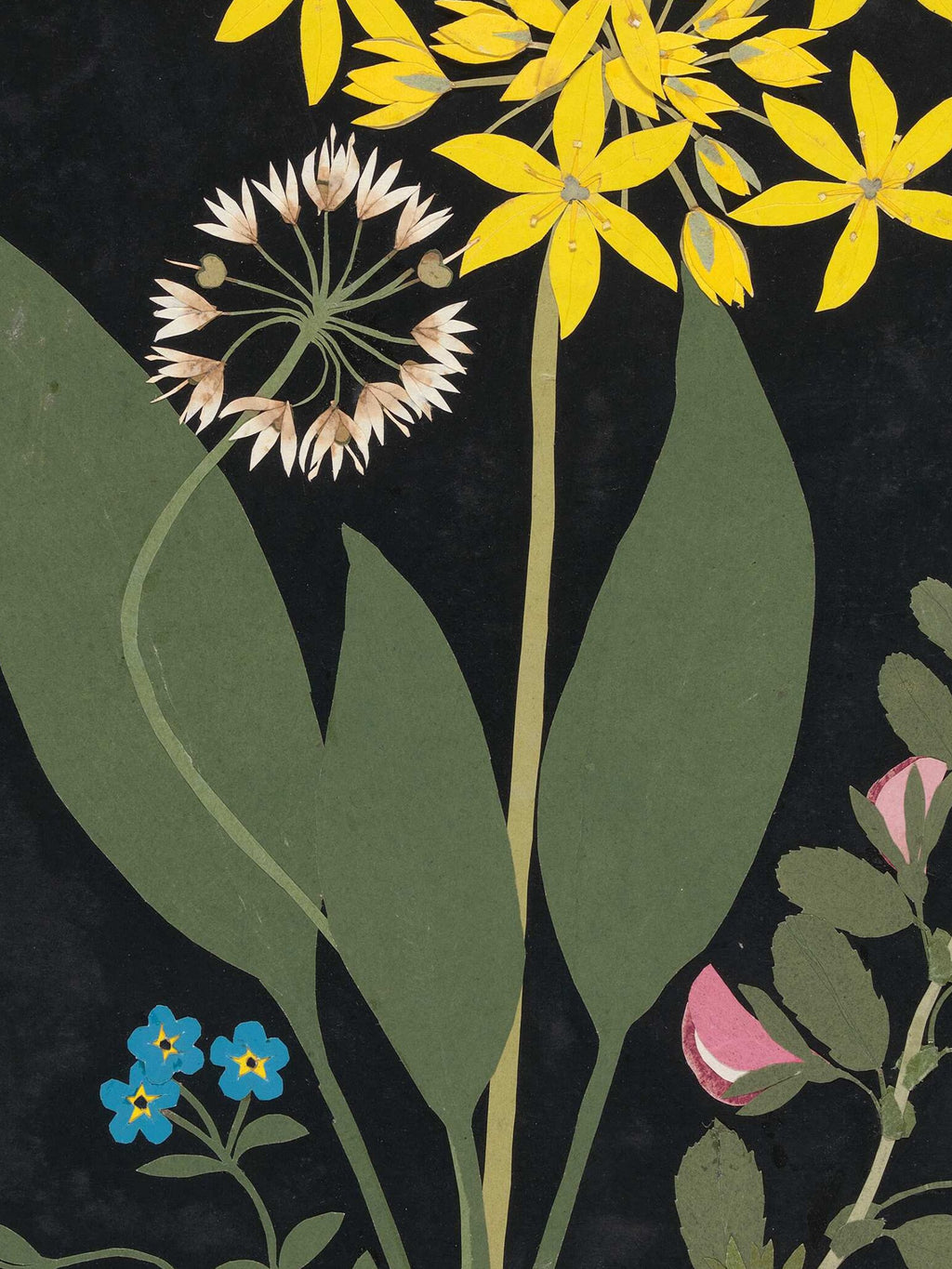 Ellen W. - Cut-paper flowers, 04