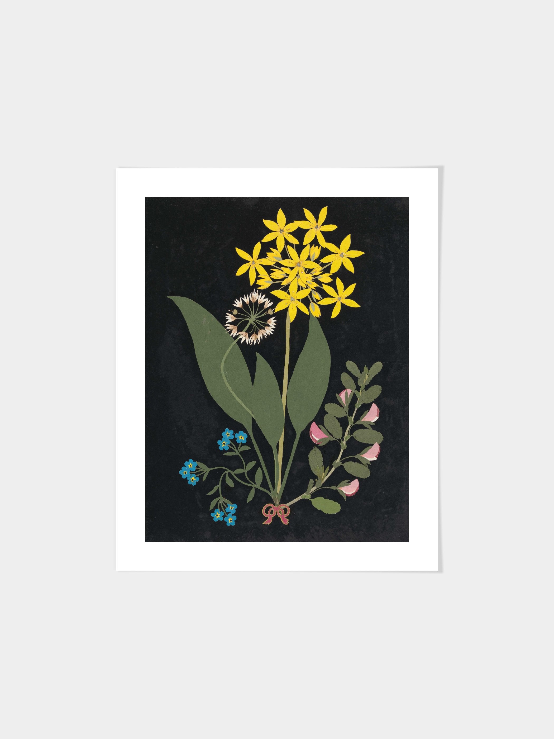 Ellen W. - Cut-paper flowers, 04
