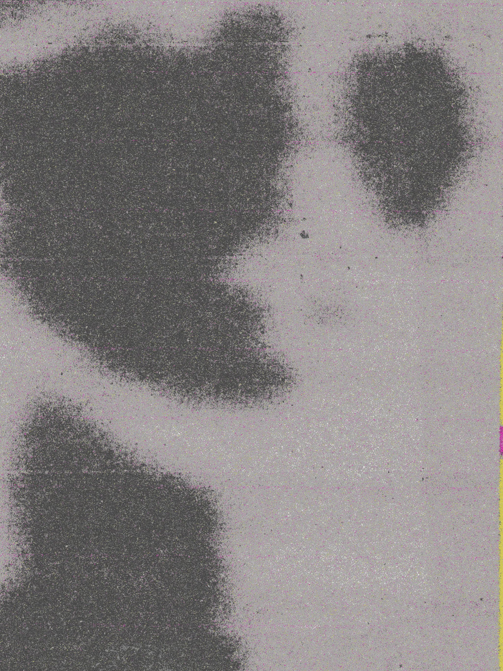 João Fischer - Image 1