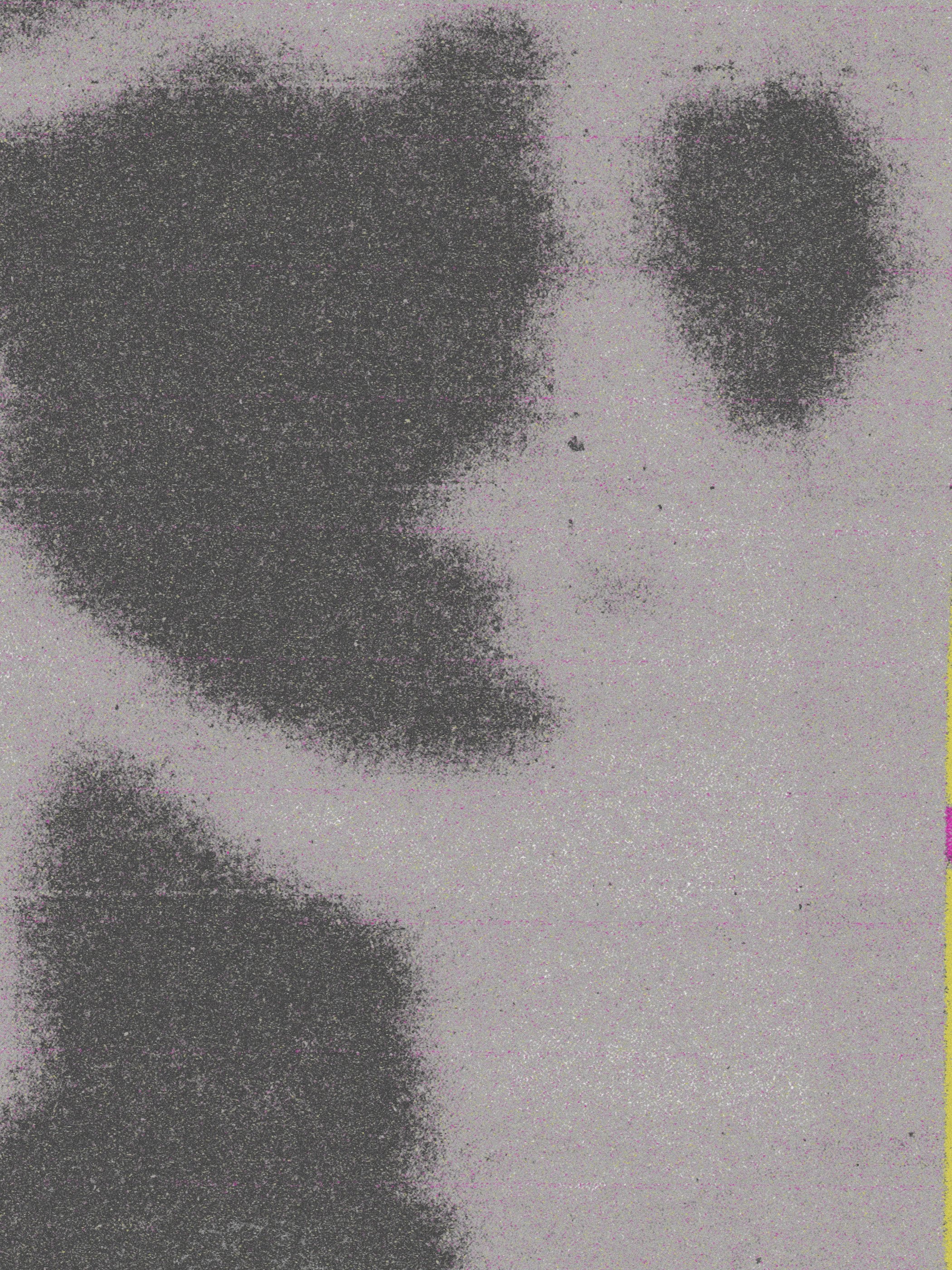 João Fischer - Image 1