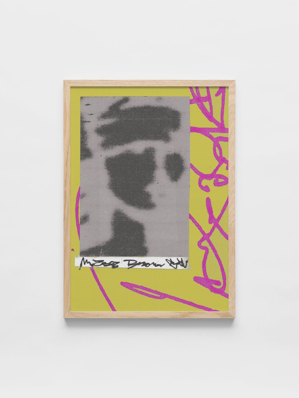 João Fischer - Image 1