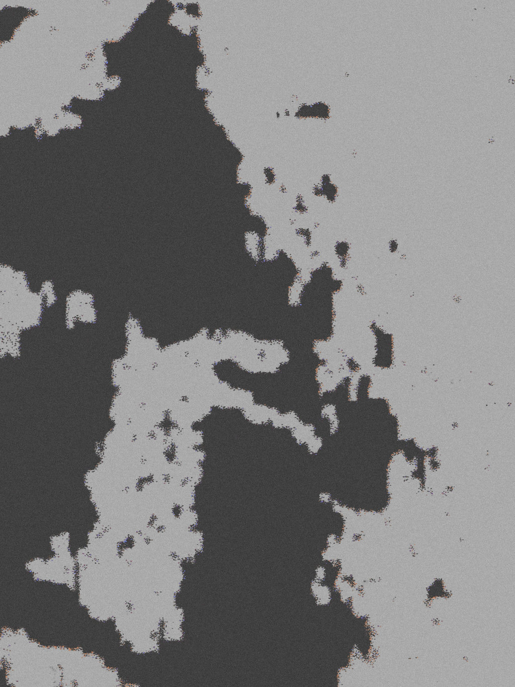 João Fischer - Image 2