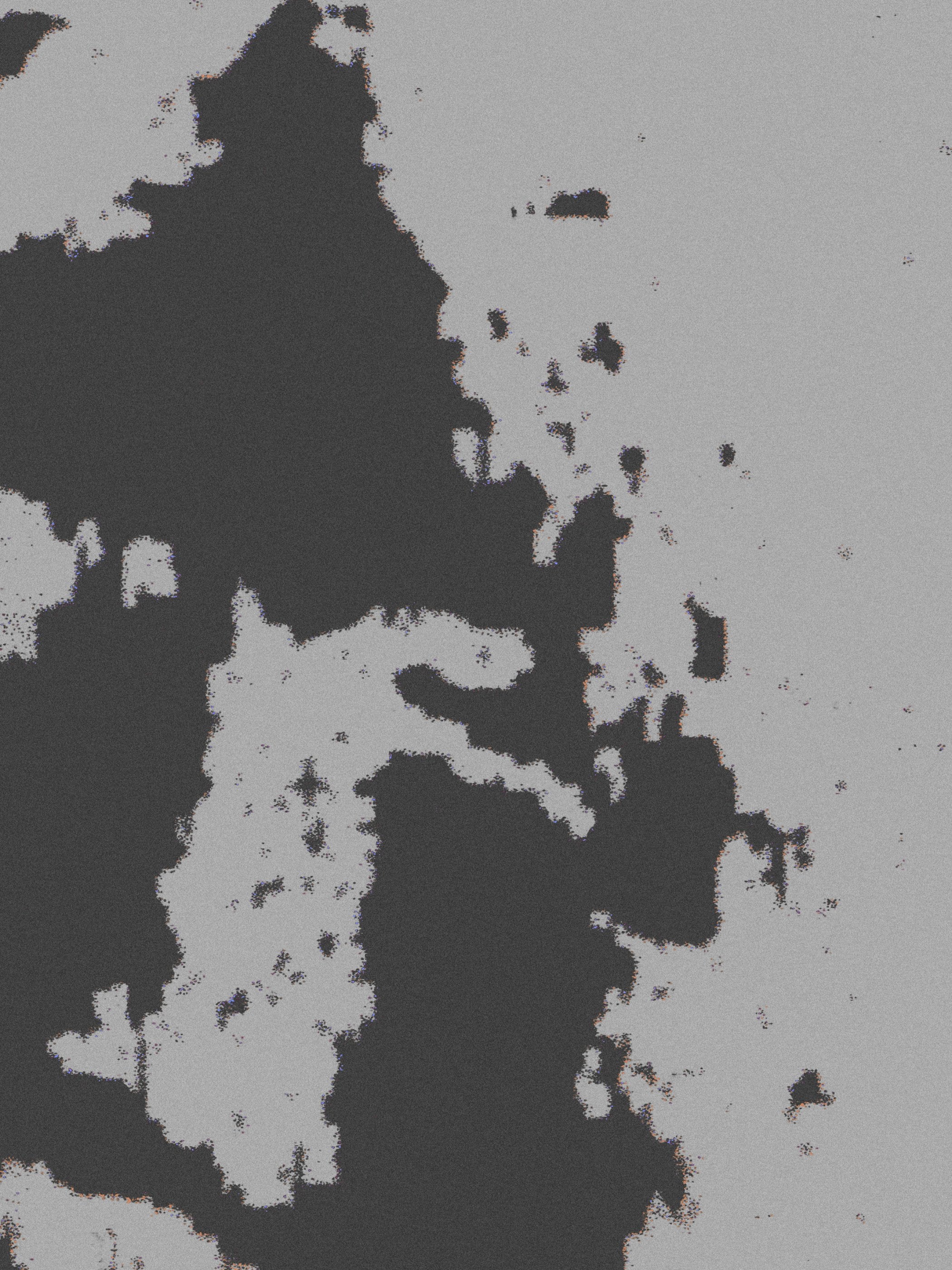 João Fischer - Image 2