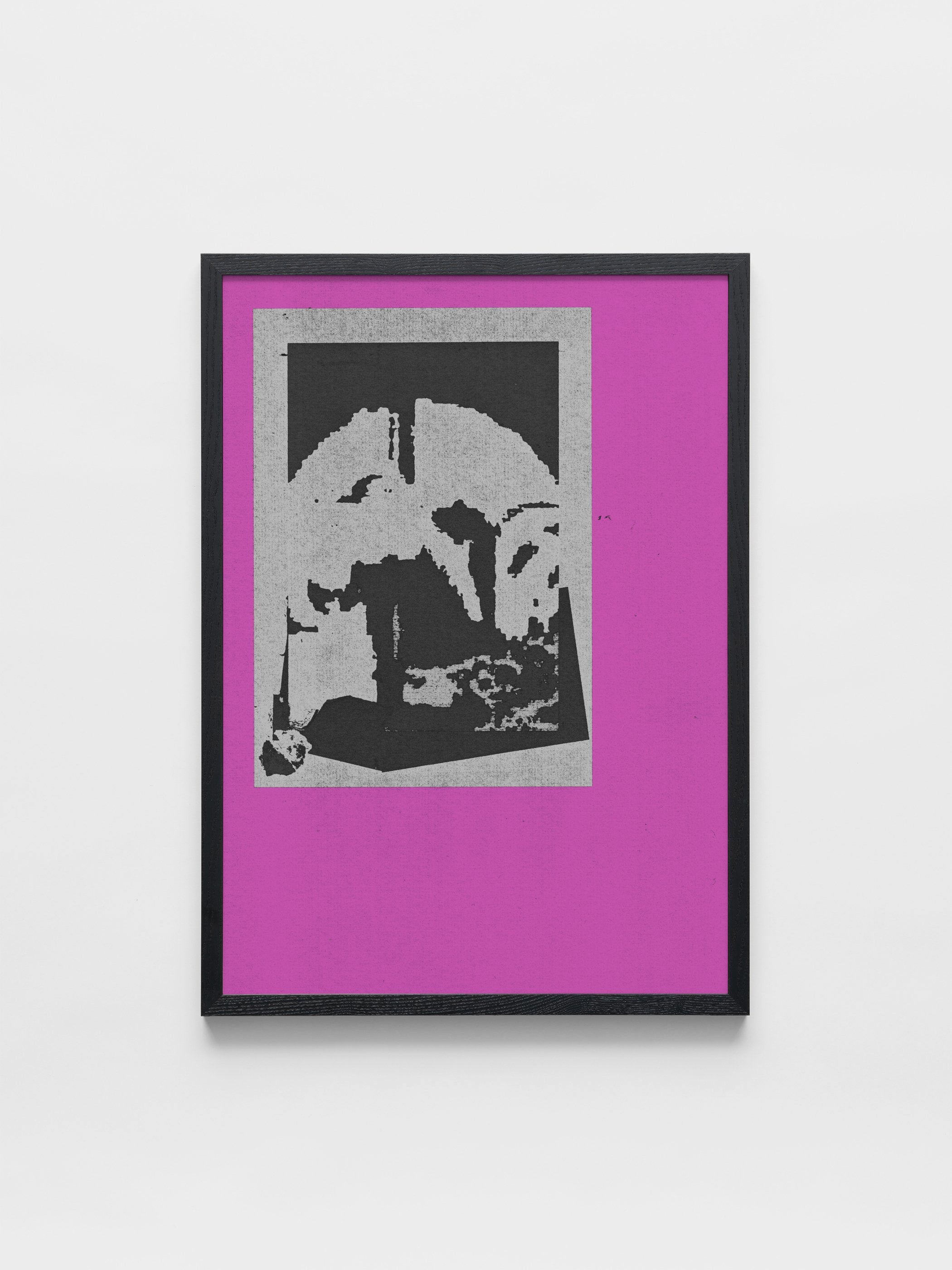 João Fischer - Image 3