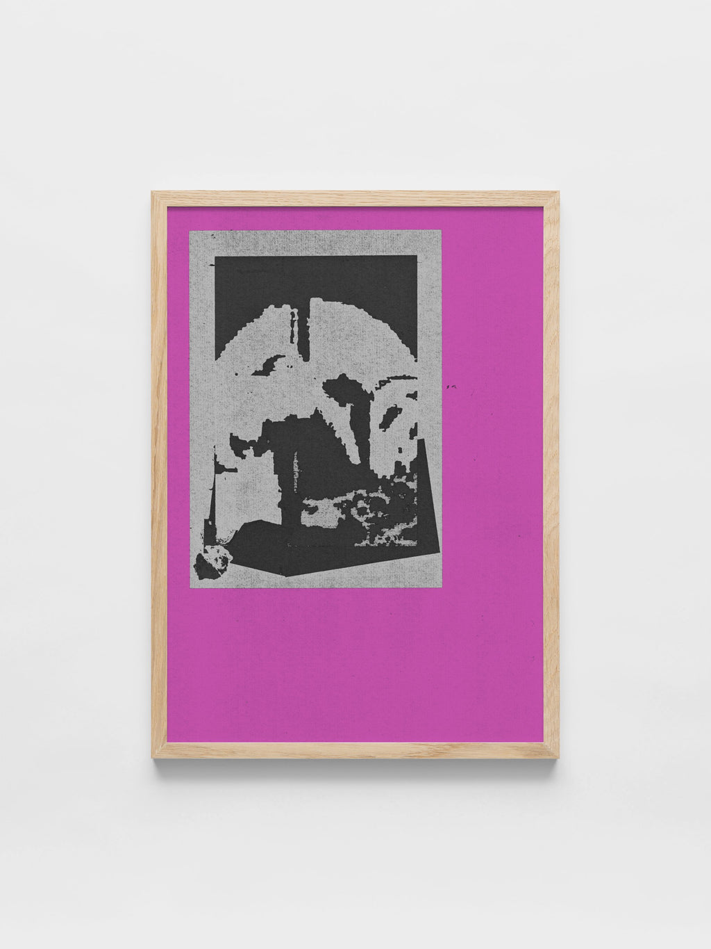 João Fischer - Image 3