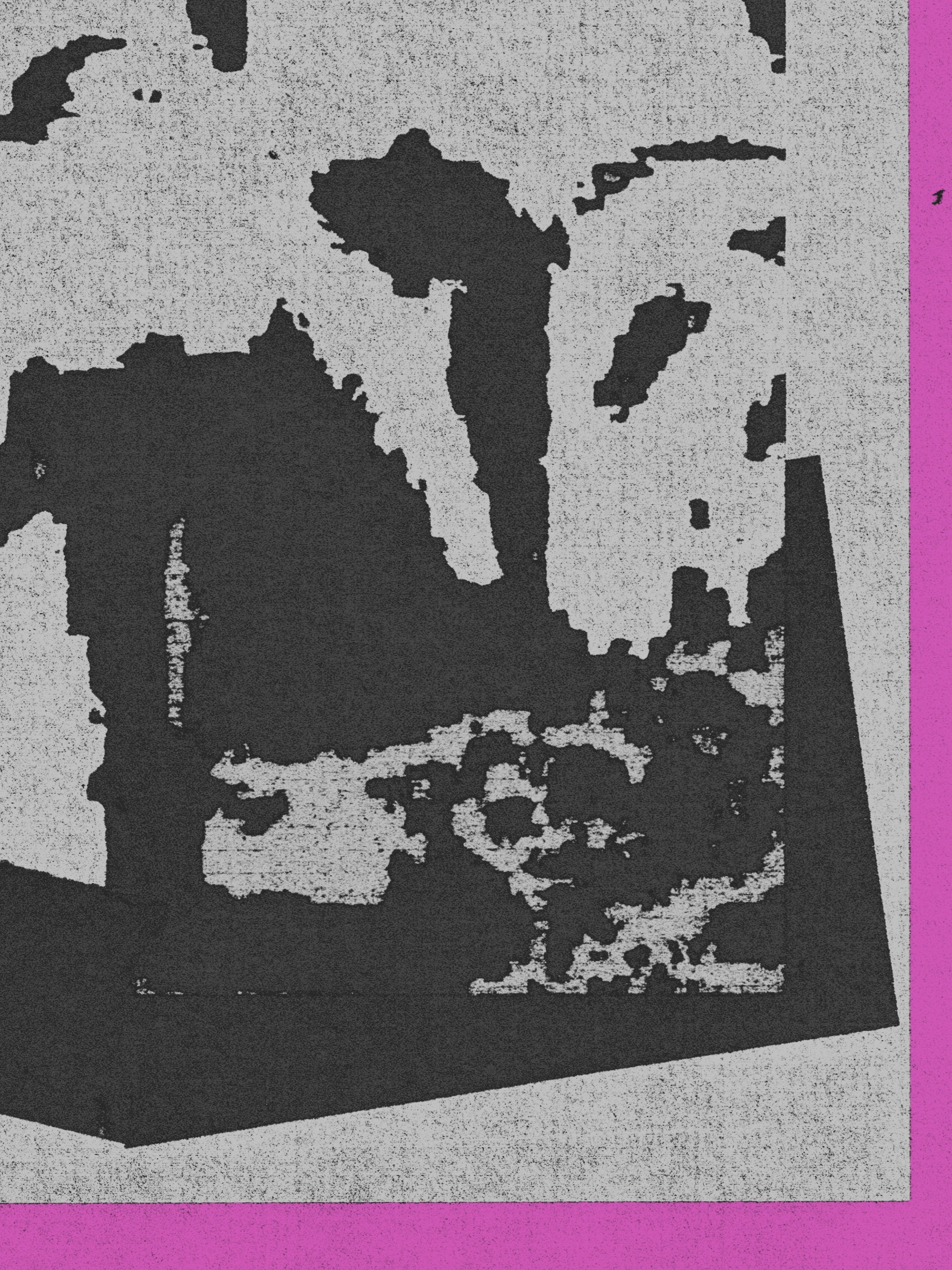 João Fischer - Image 3
