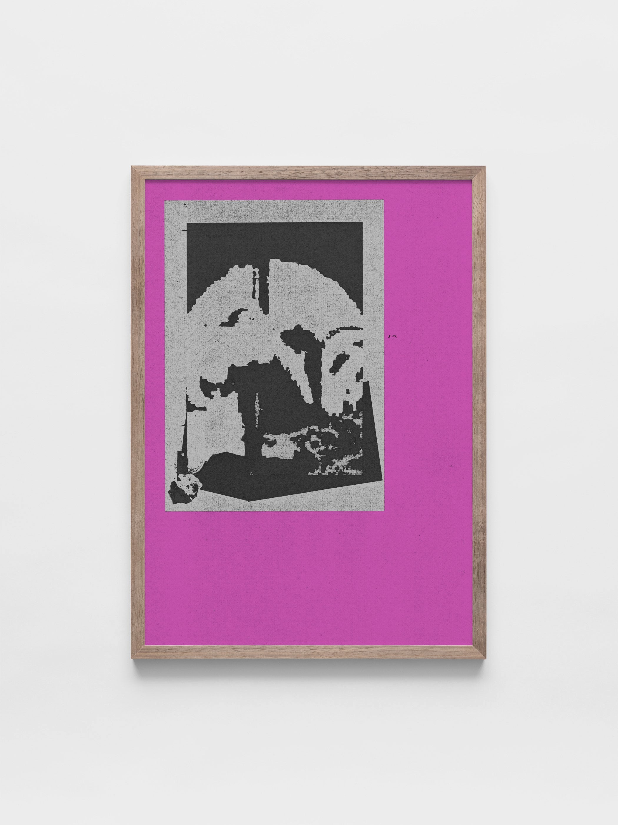 João Fischer - Image 3
