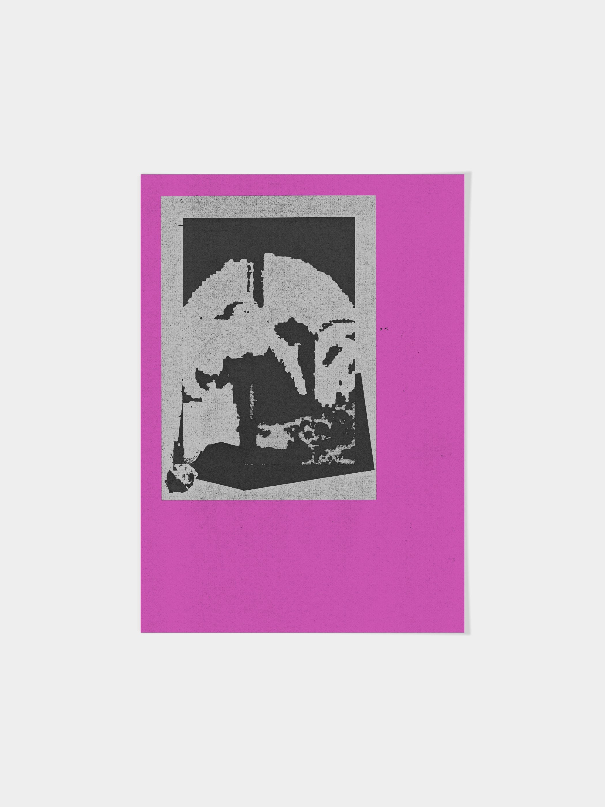 João Fischer - Image 3