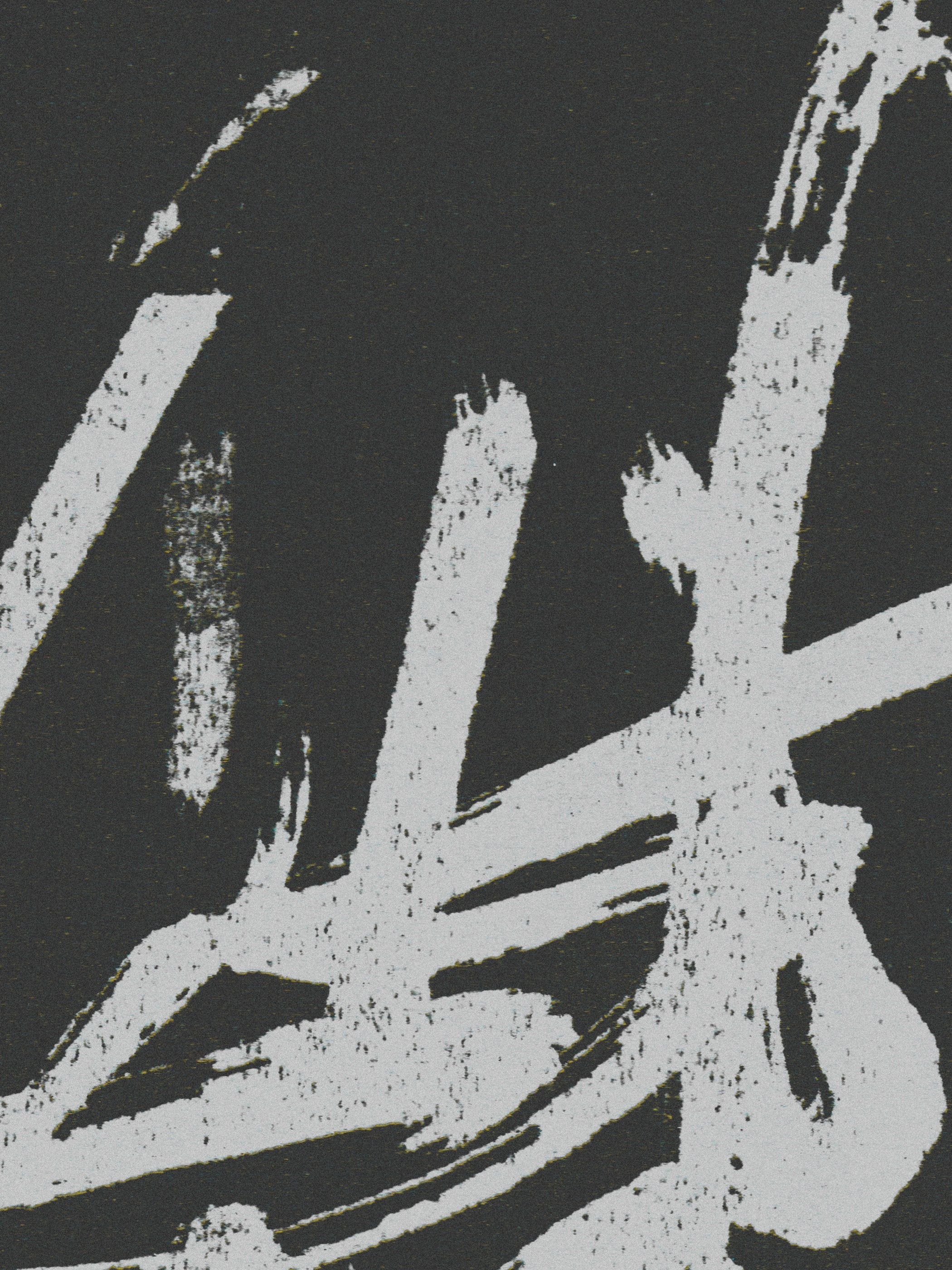João Fischer - Image 5