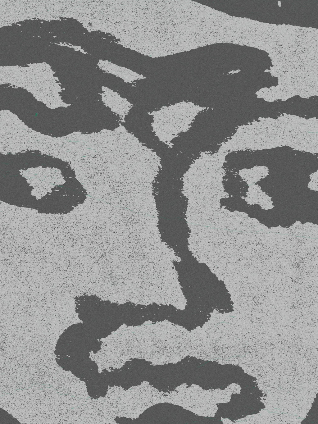 João Fischer - Image 7