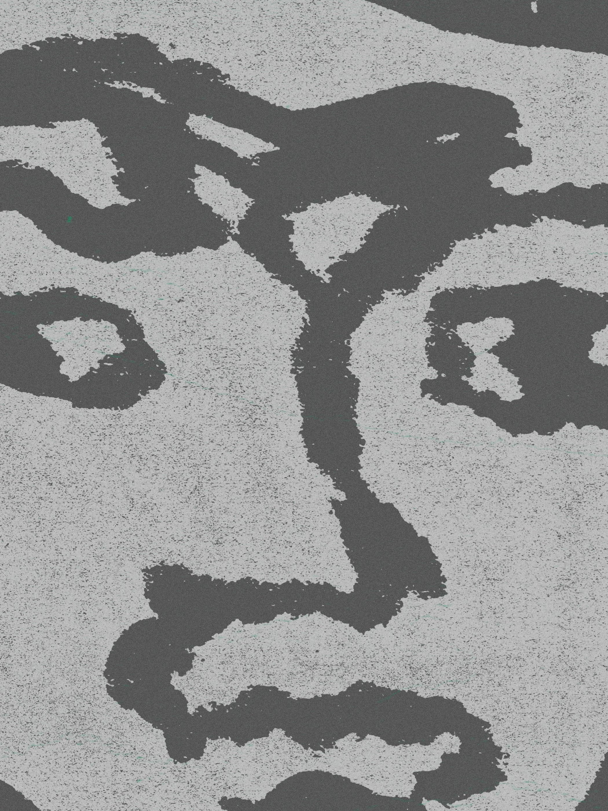 João Fischer - Image 7