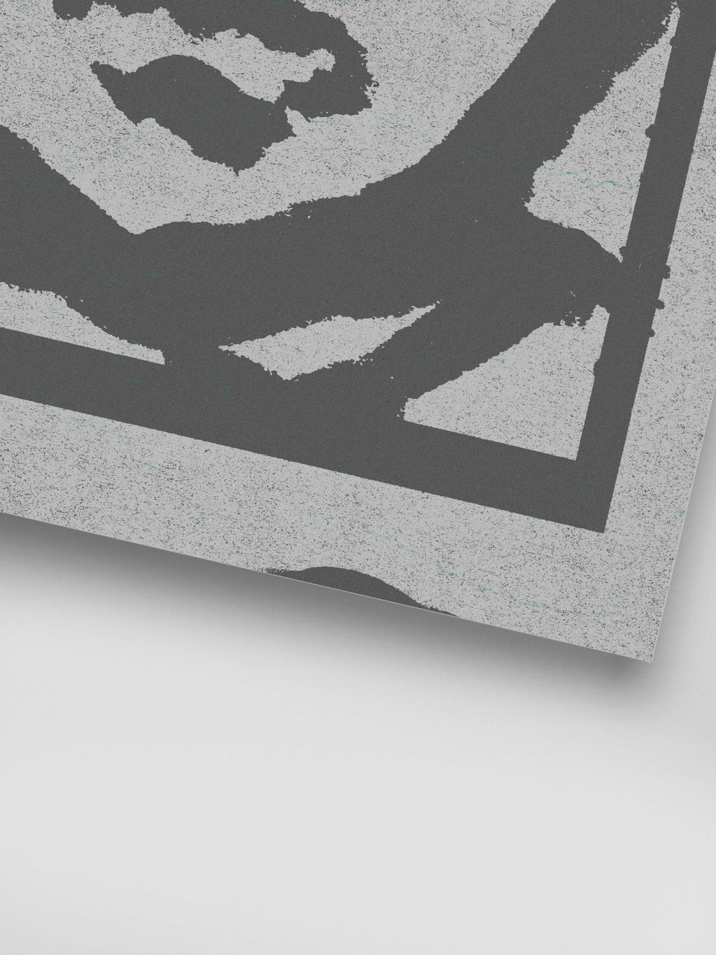 João Fischer - Image 7