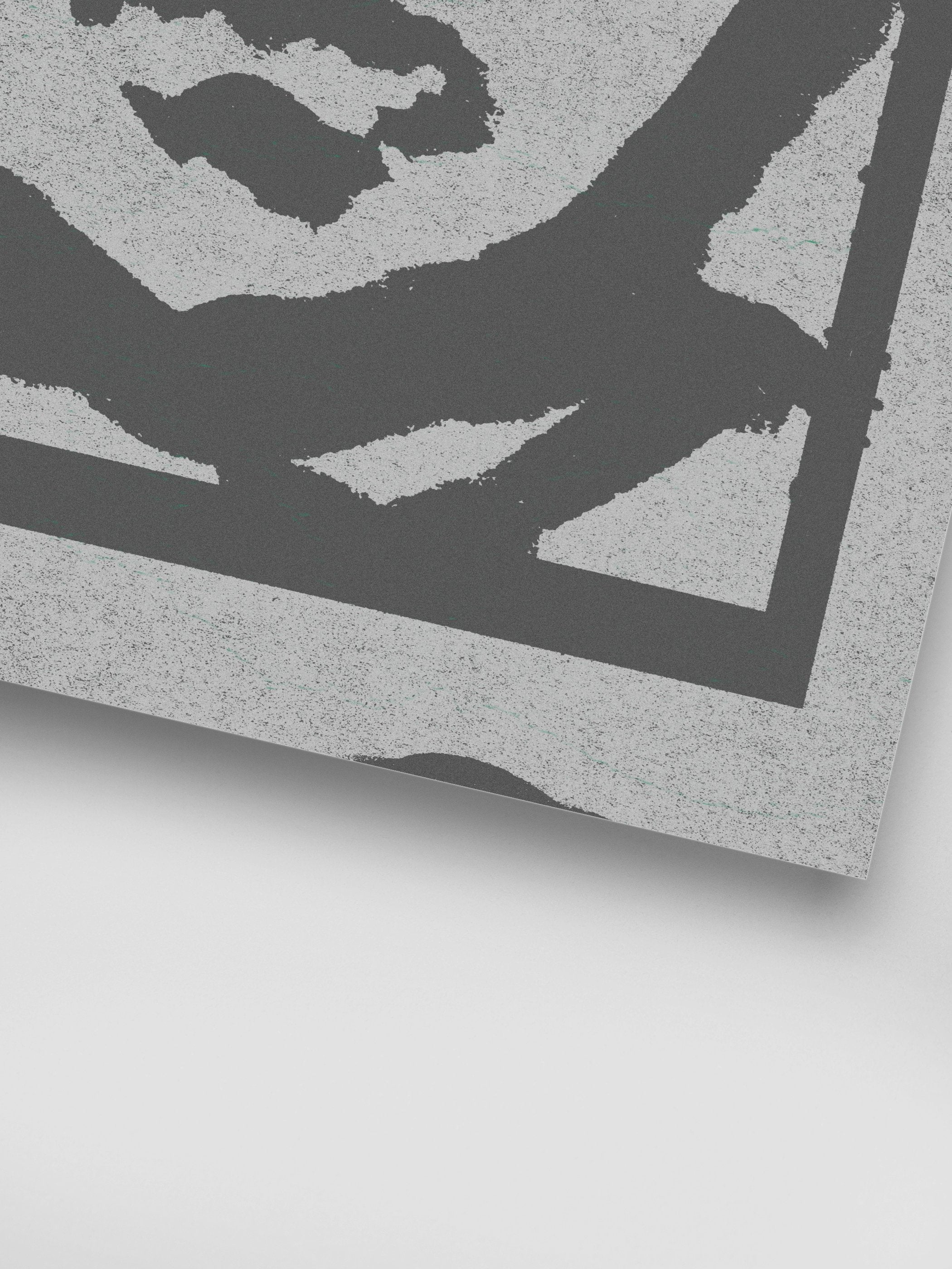João Fischer - Image 7