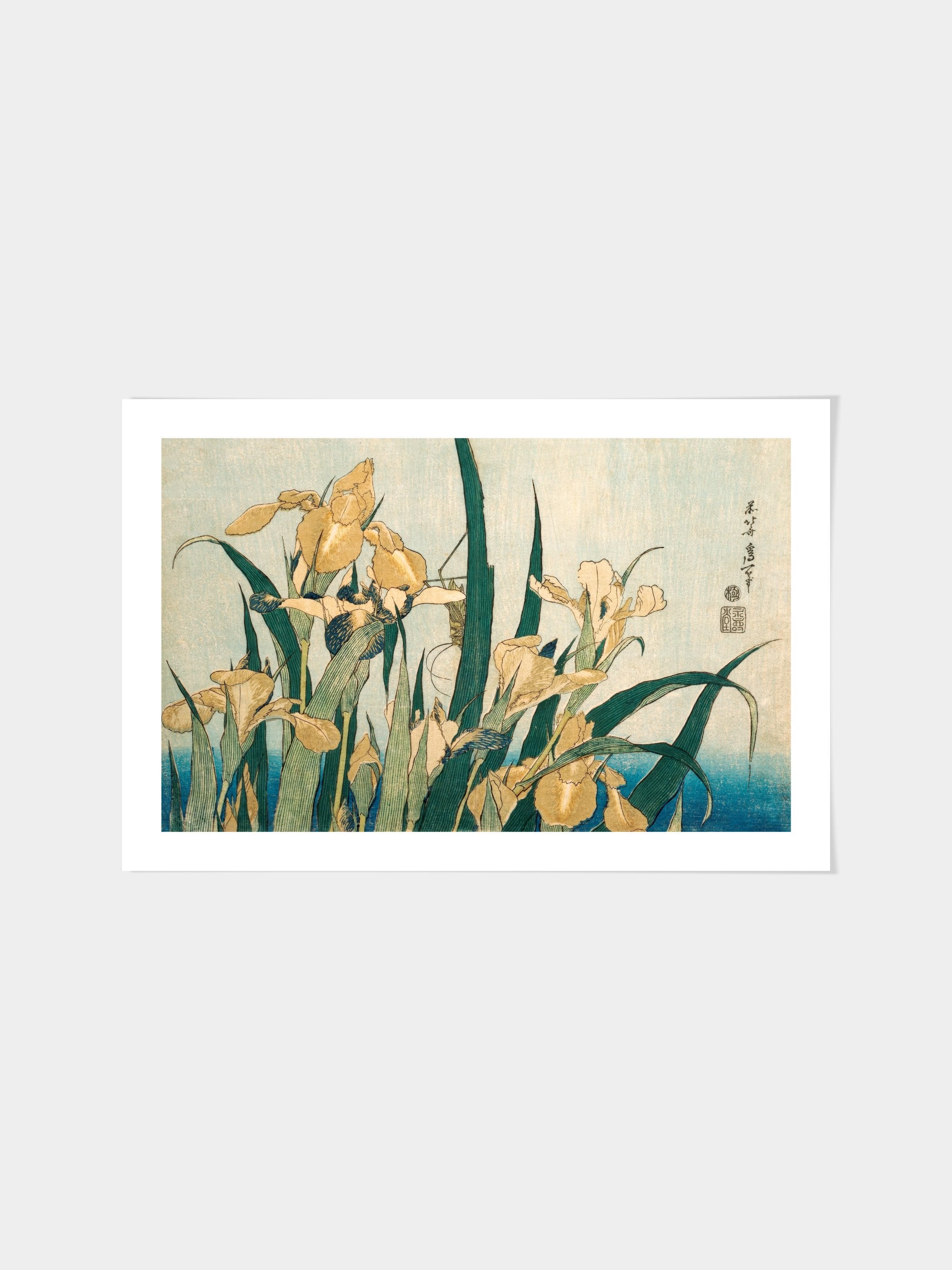 Katsushika Hokusai - Irises with a Grasshopper