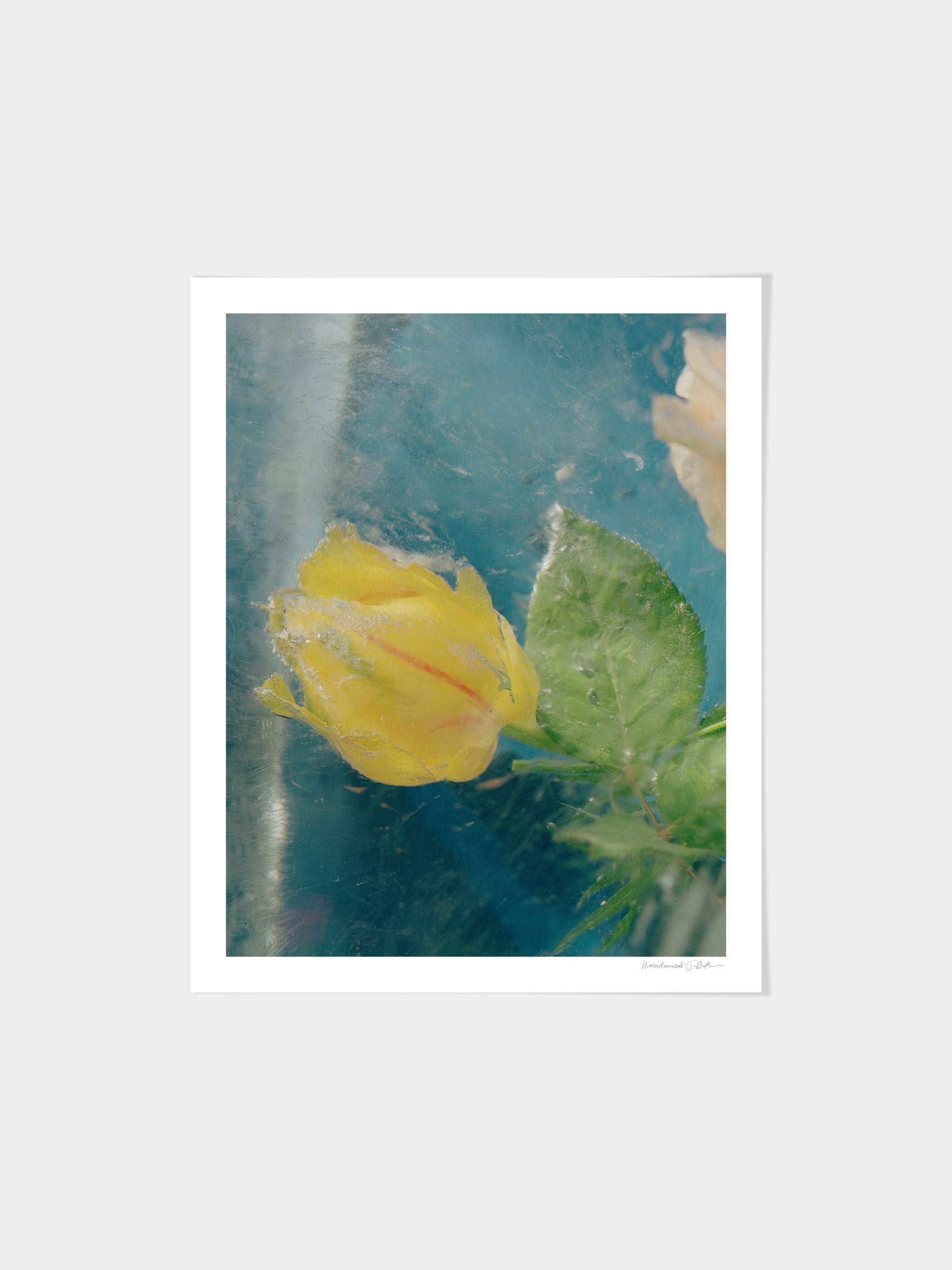 Hvass & Hannibal - 06
