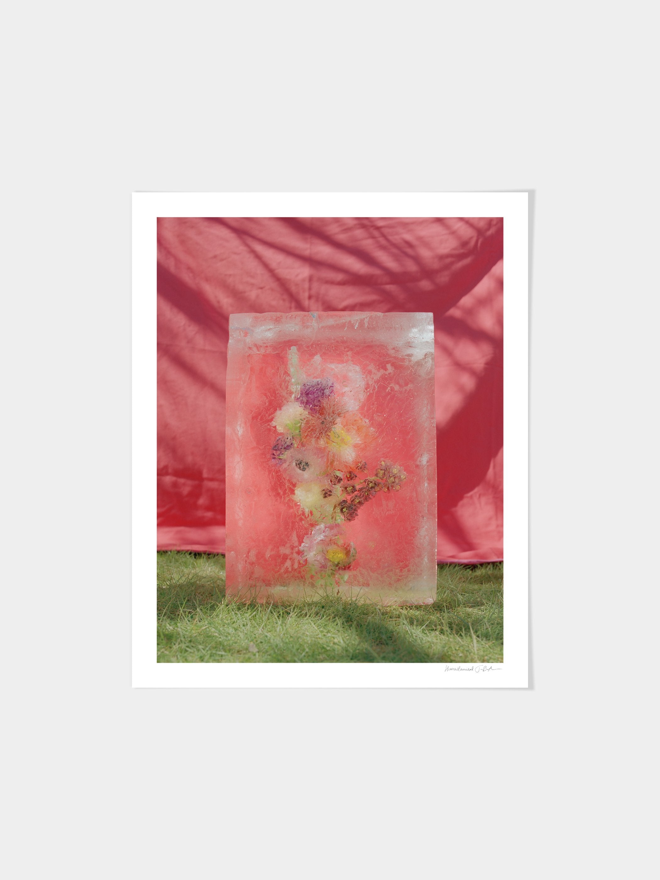 Hvass & Hannibal - 01
