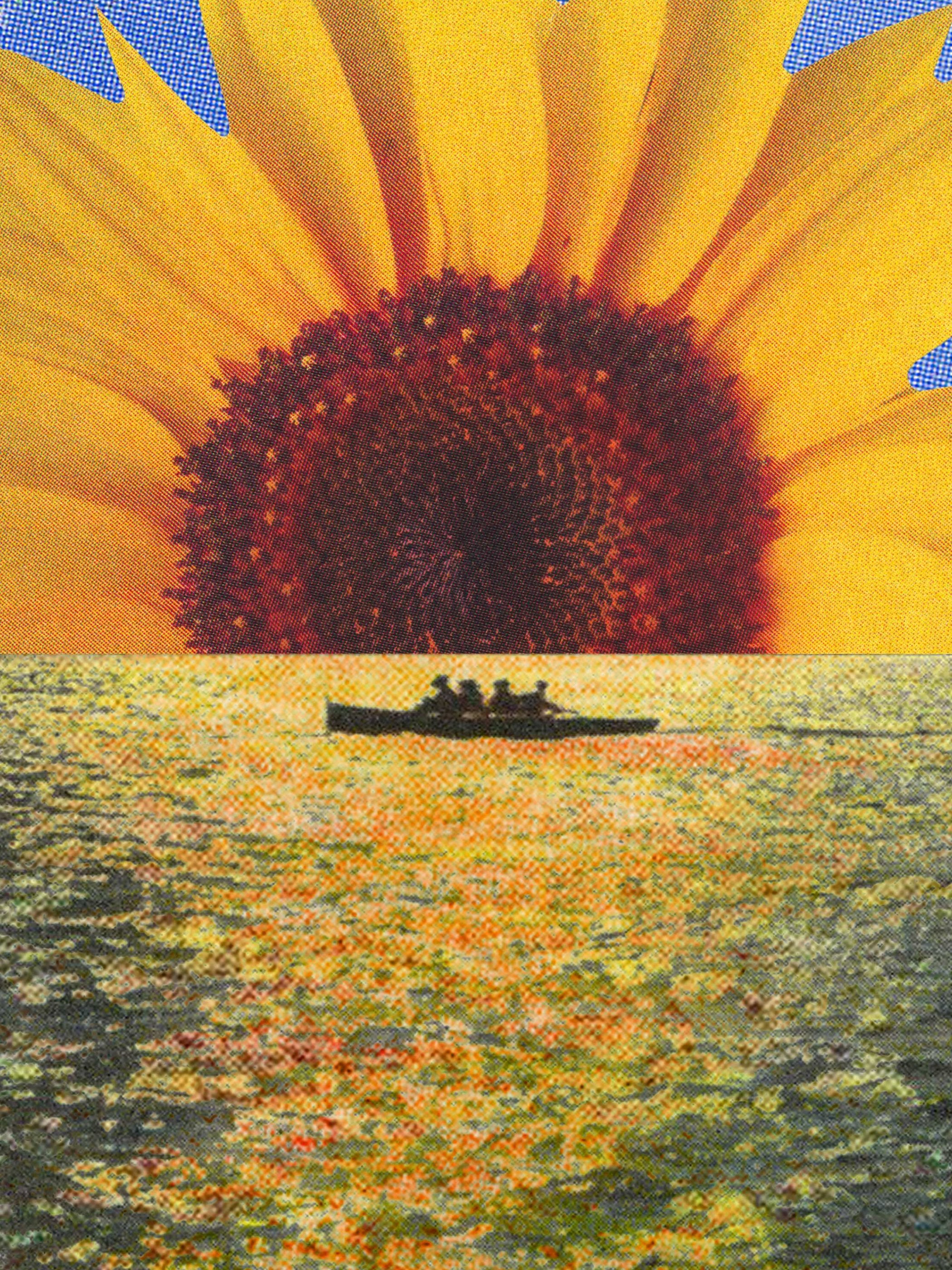 Joe Webb - Heliotropism