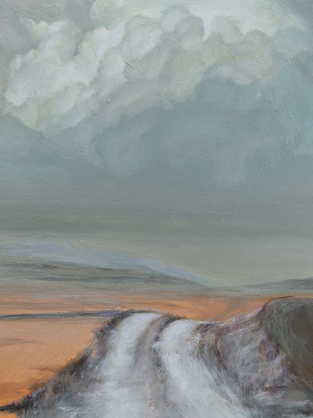 Laura Pritchett - Distant Rain