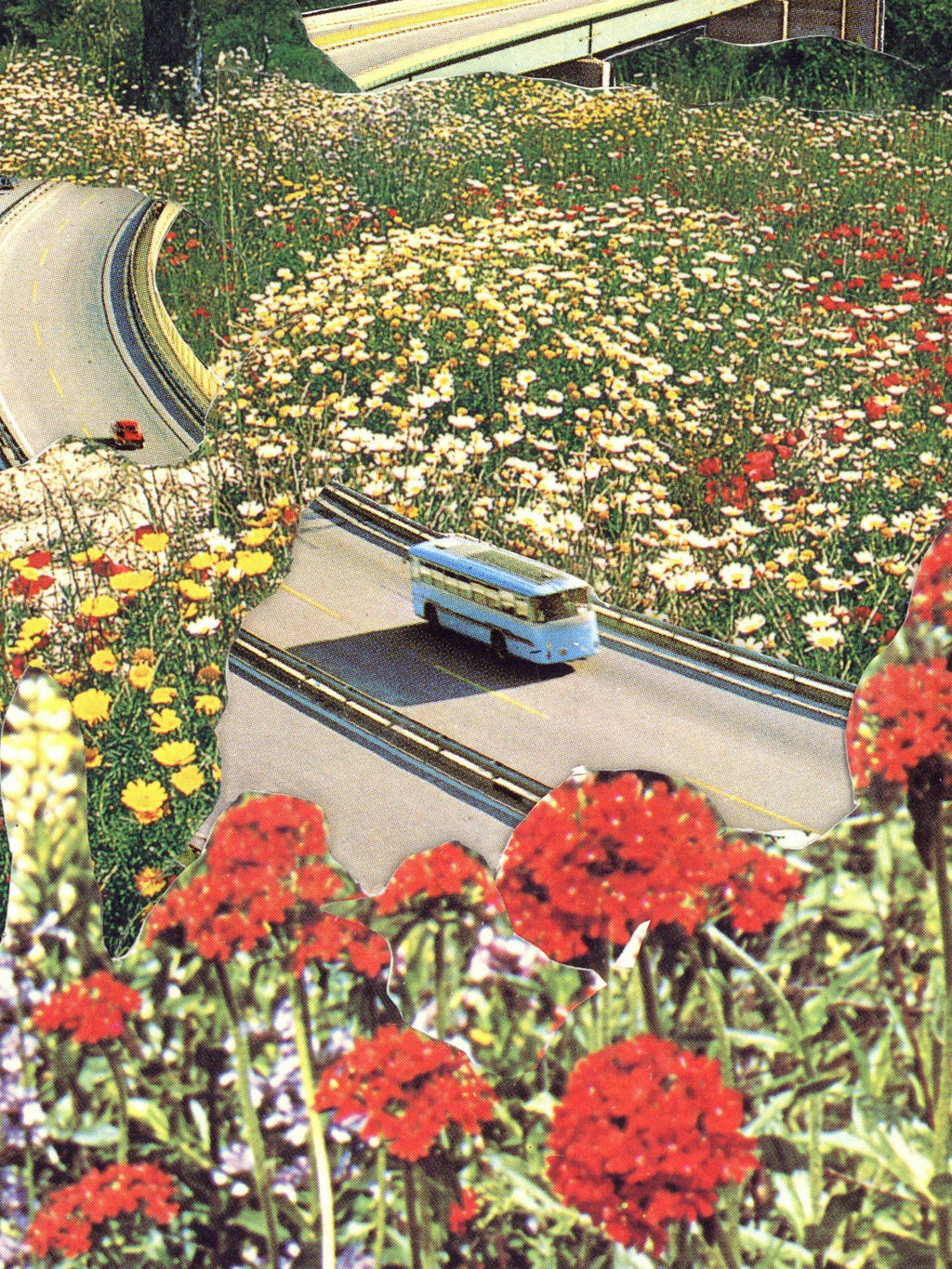 Joe Webb - Reclaimed