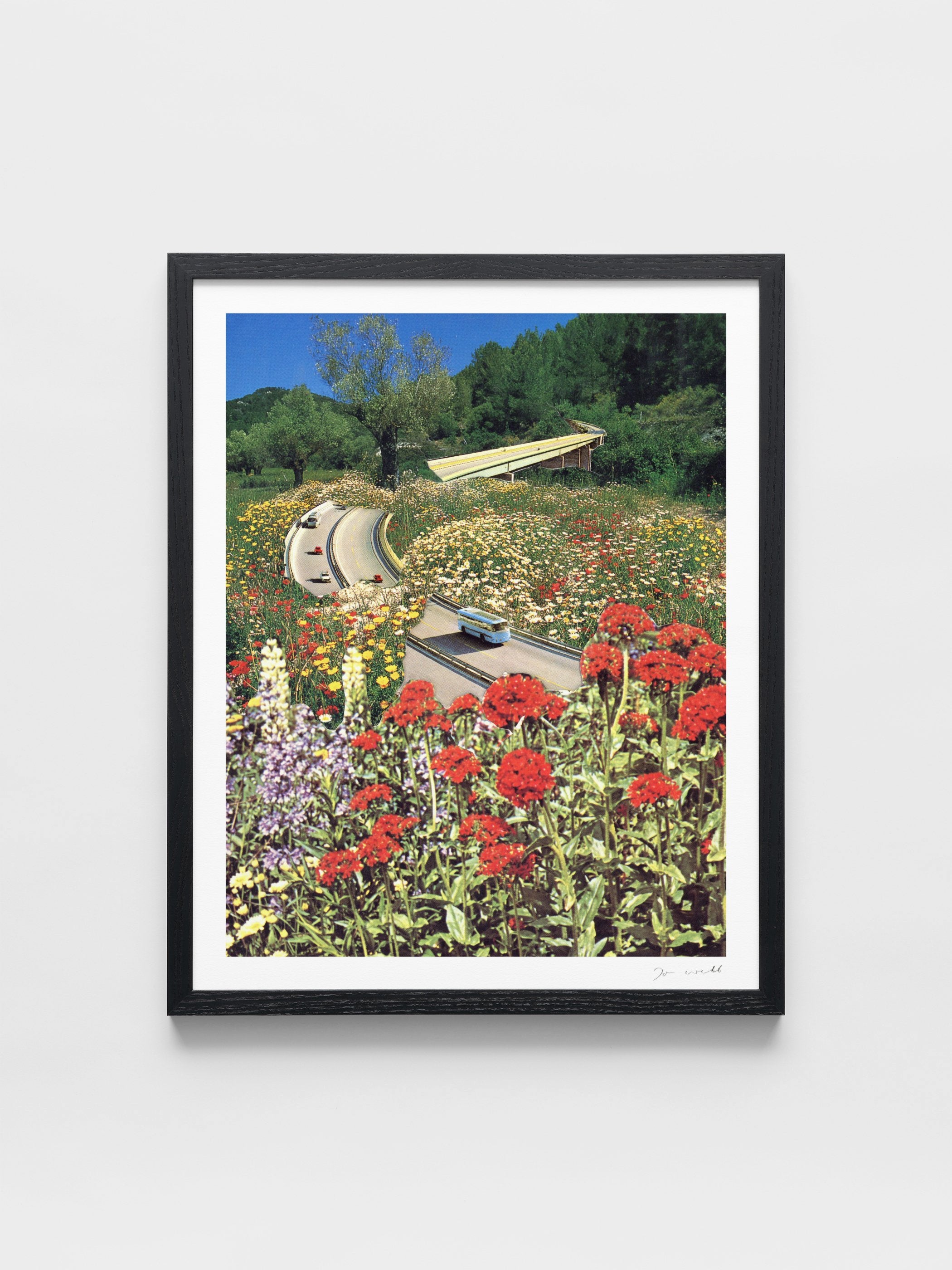 Joe Webb - Reclaimed