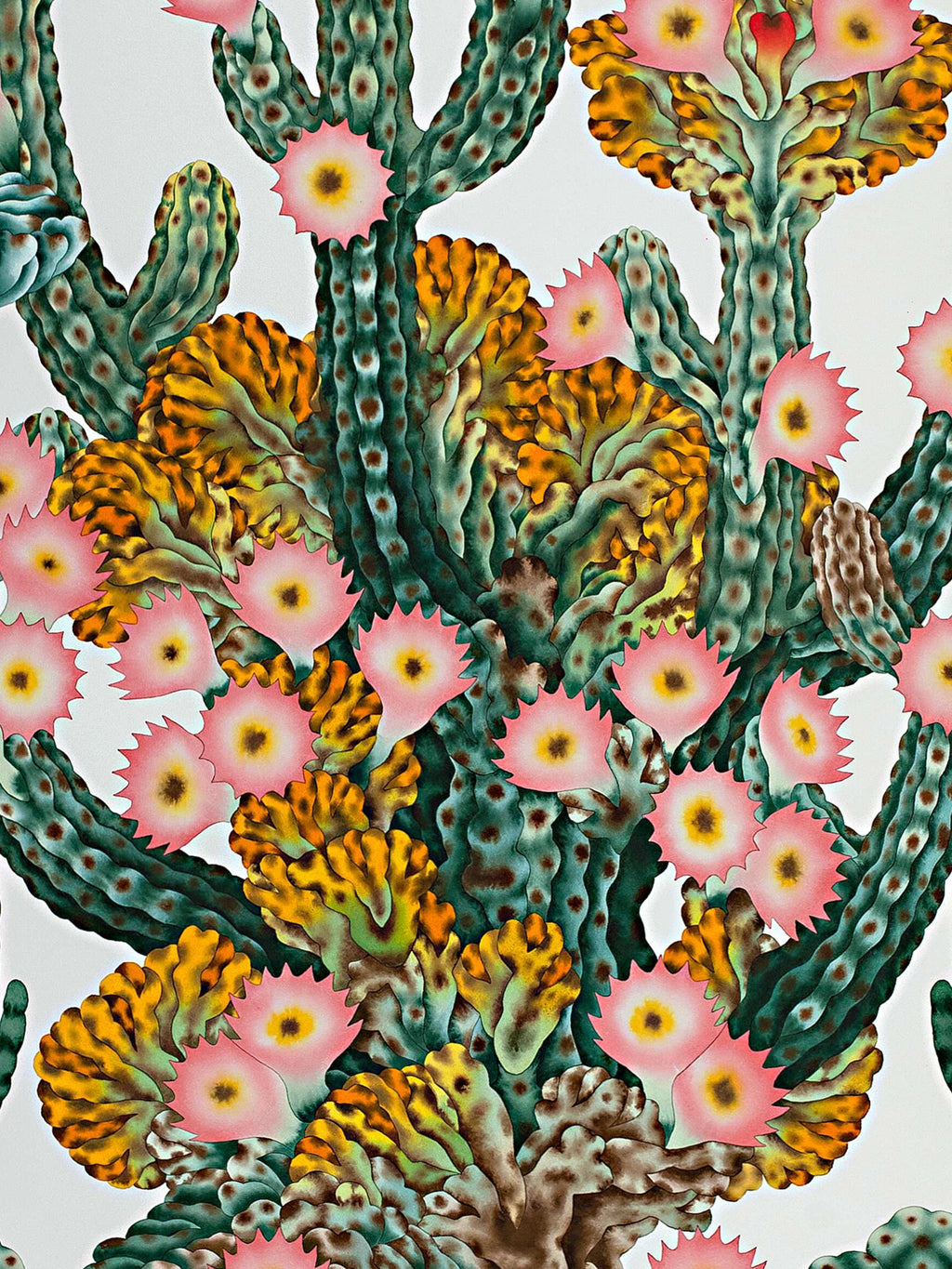 Matthew Palladino - Peyote Pedro