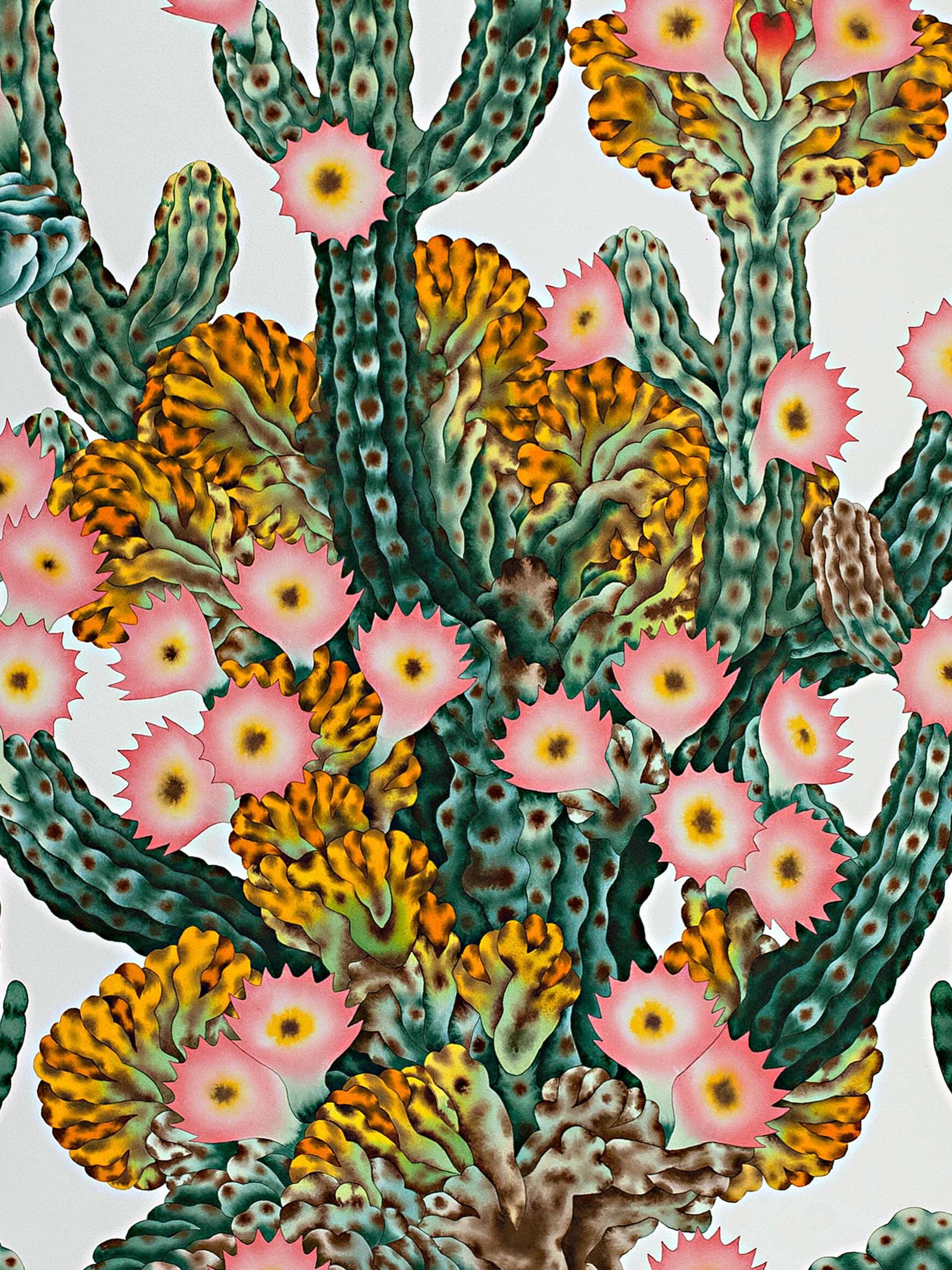 Matthew Palladino - Peyote Pedro
