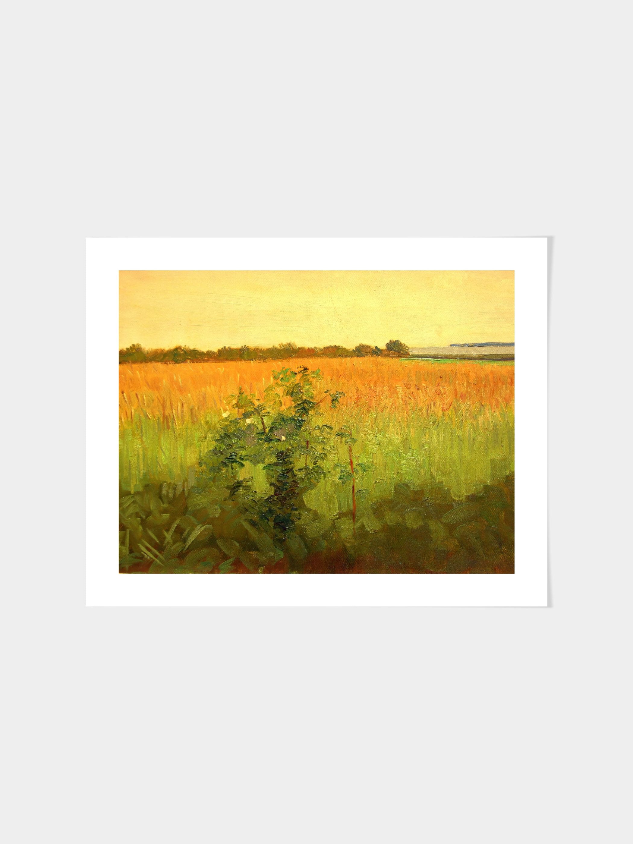 Agnes Slott-Møller - Fields