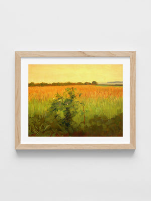 Agnes Slott-Møller - Fields