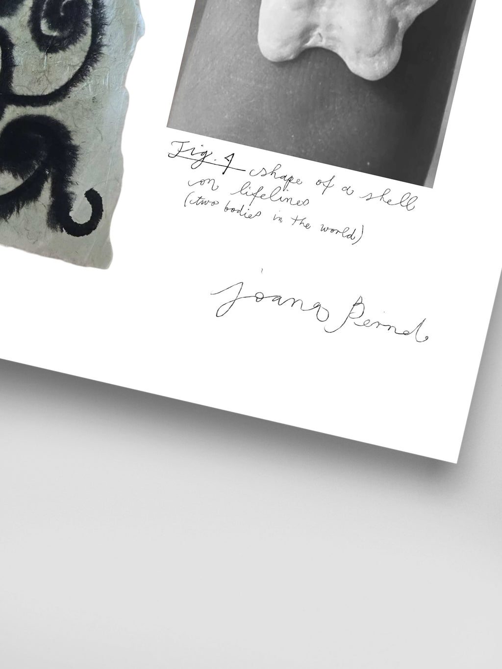Joana Bernd - Of Symbols and Signs