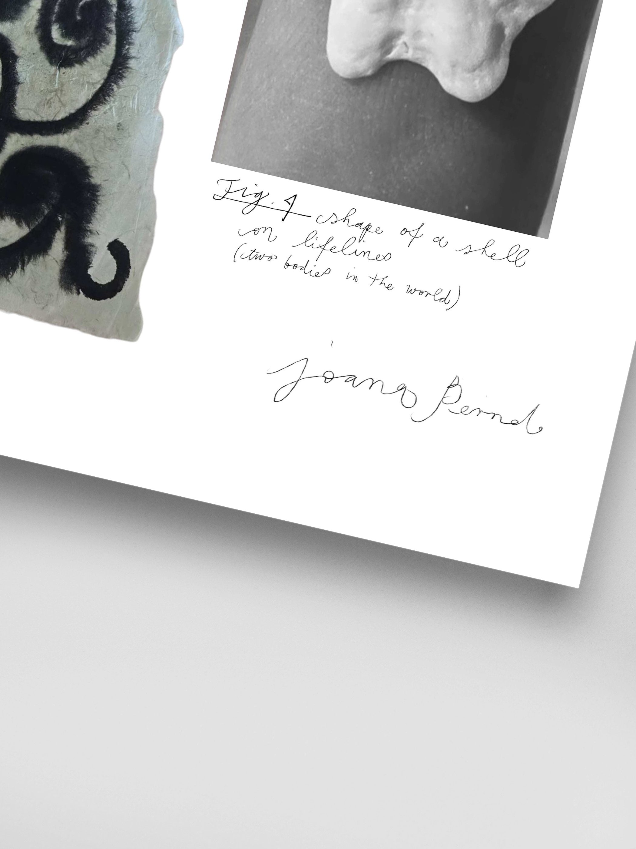 Joana Bernd - Of Symbols and Signs