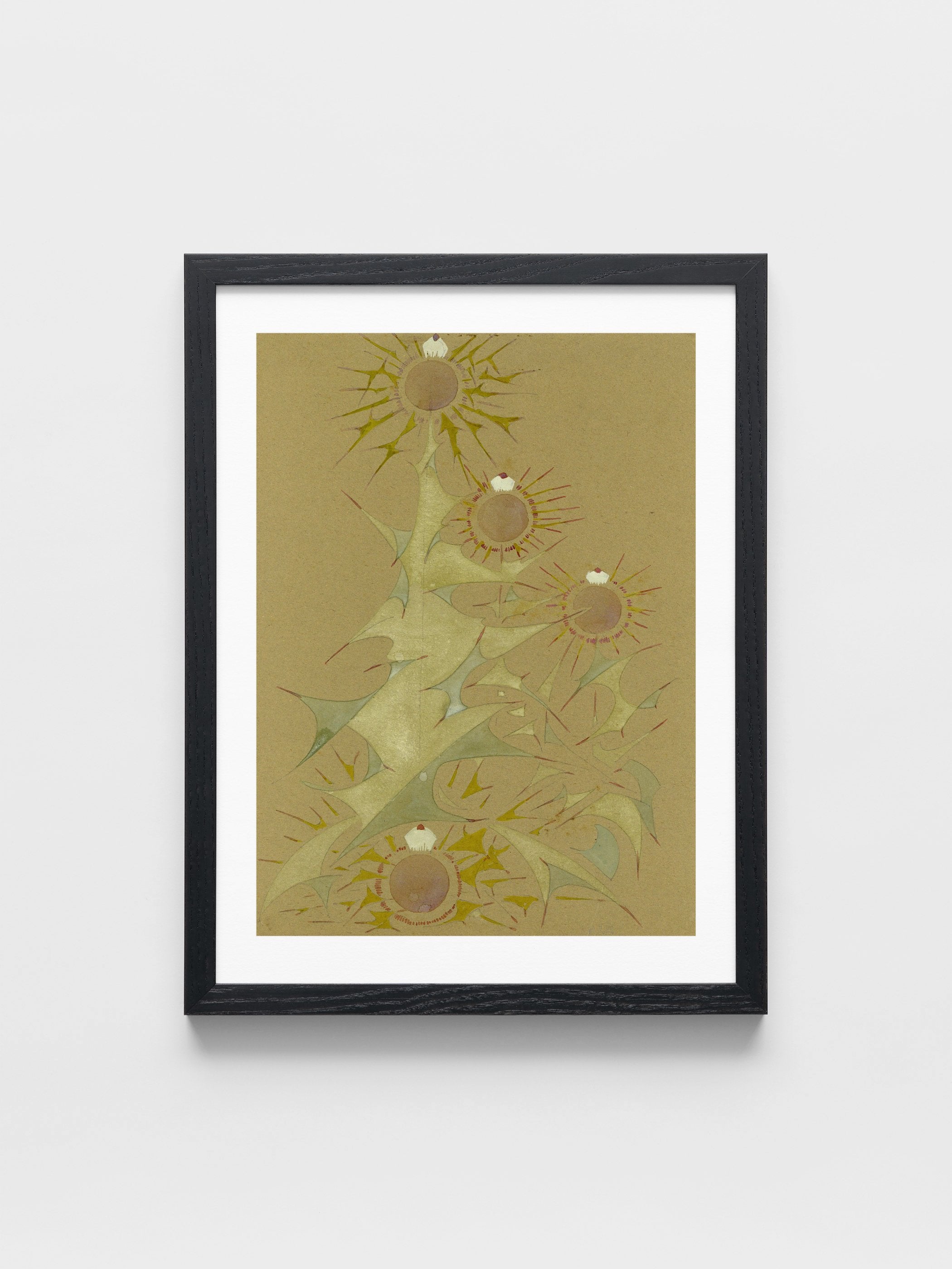 Distel, 2de soort