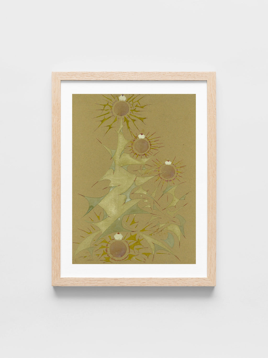 Distel, 2de soort