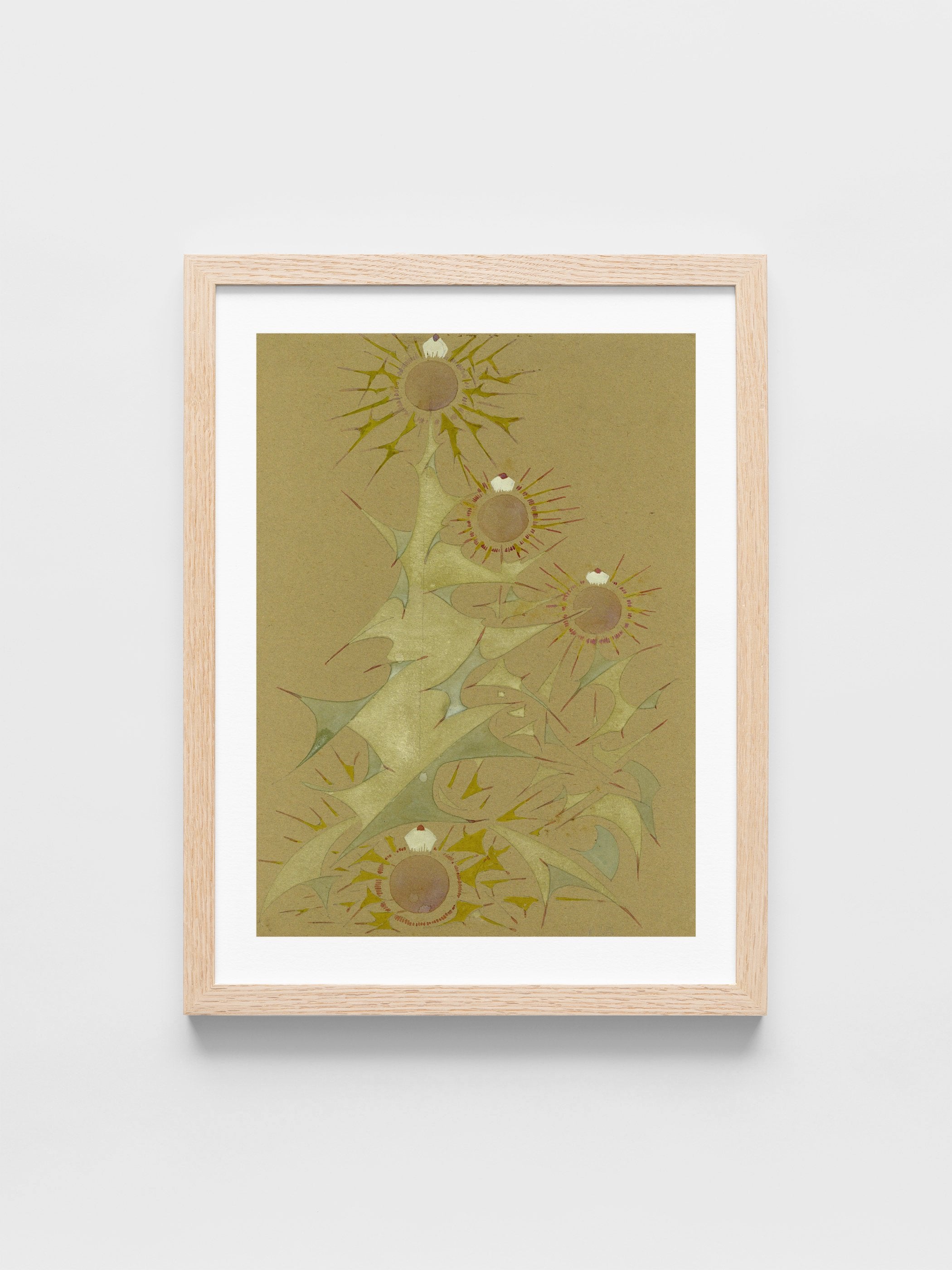 Distel, 2de soort