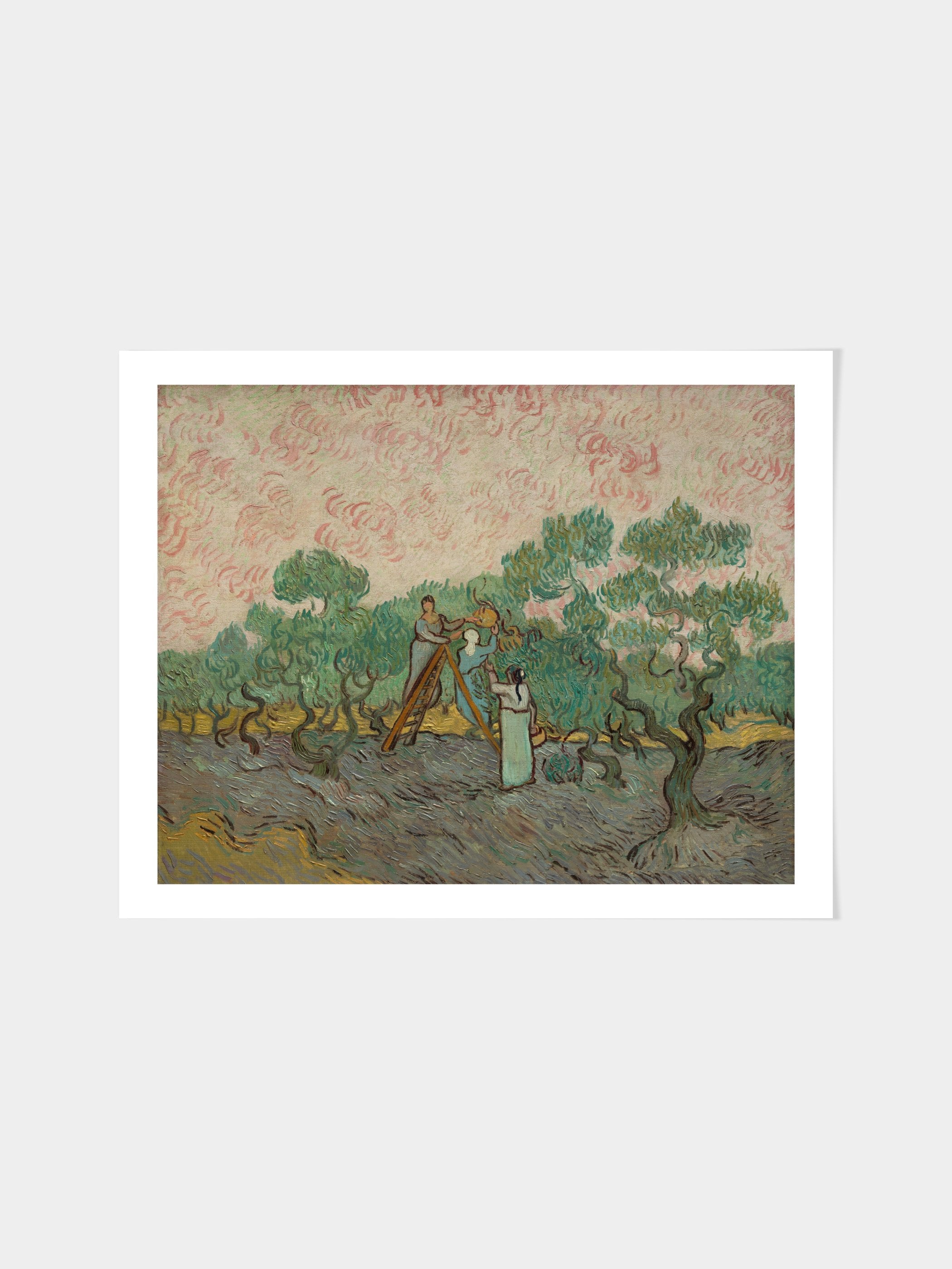 Vincent Van Gogh - Women Picking Olives