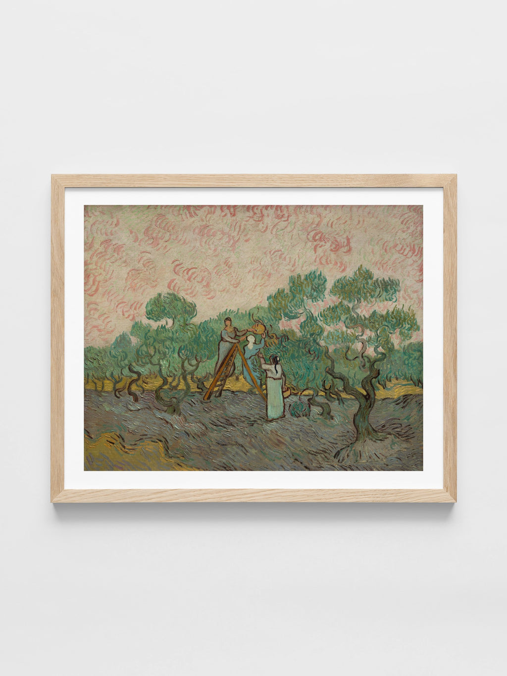 Vincent Van Gogh - Women Picking Olives