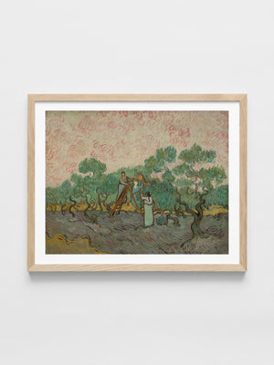 Vincent Van Gogh - Women Picking Olives
