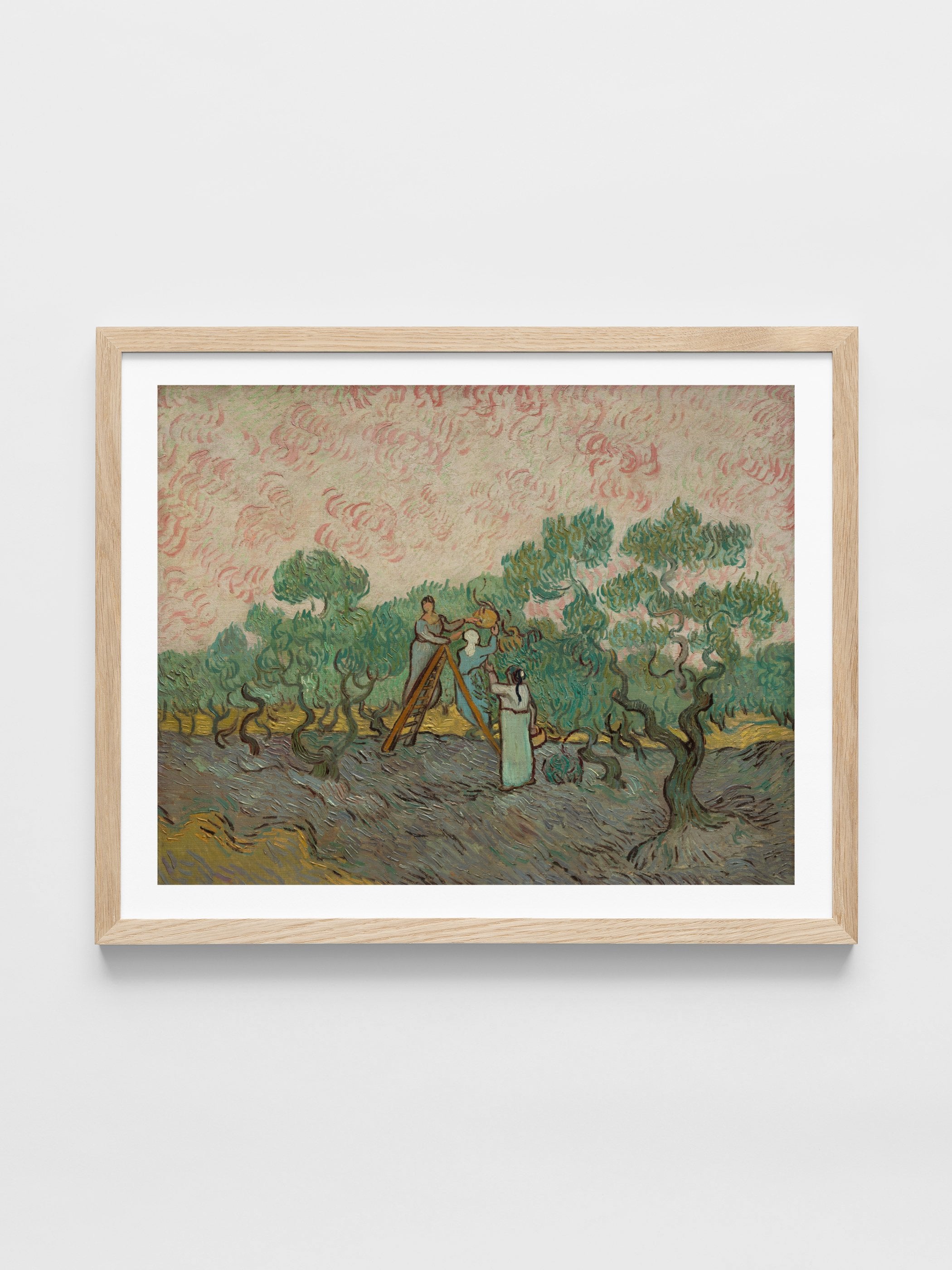 Vincent Van Gogh - Women Picking Olives