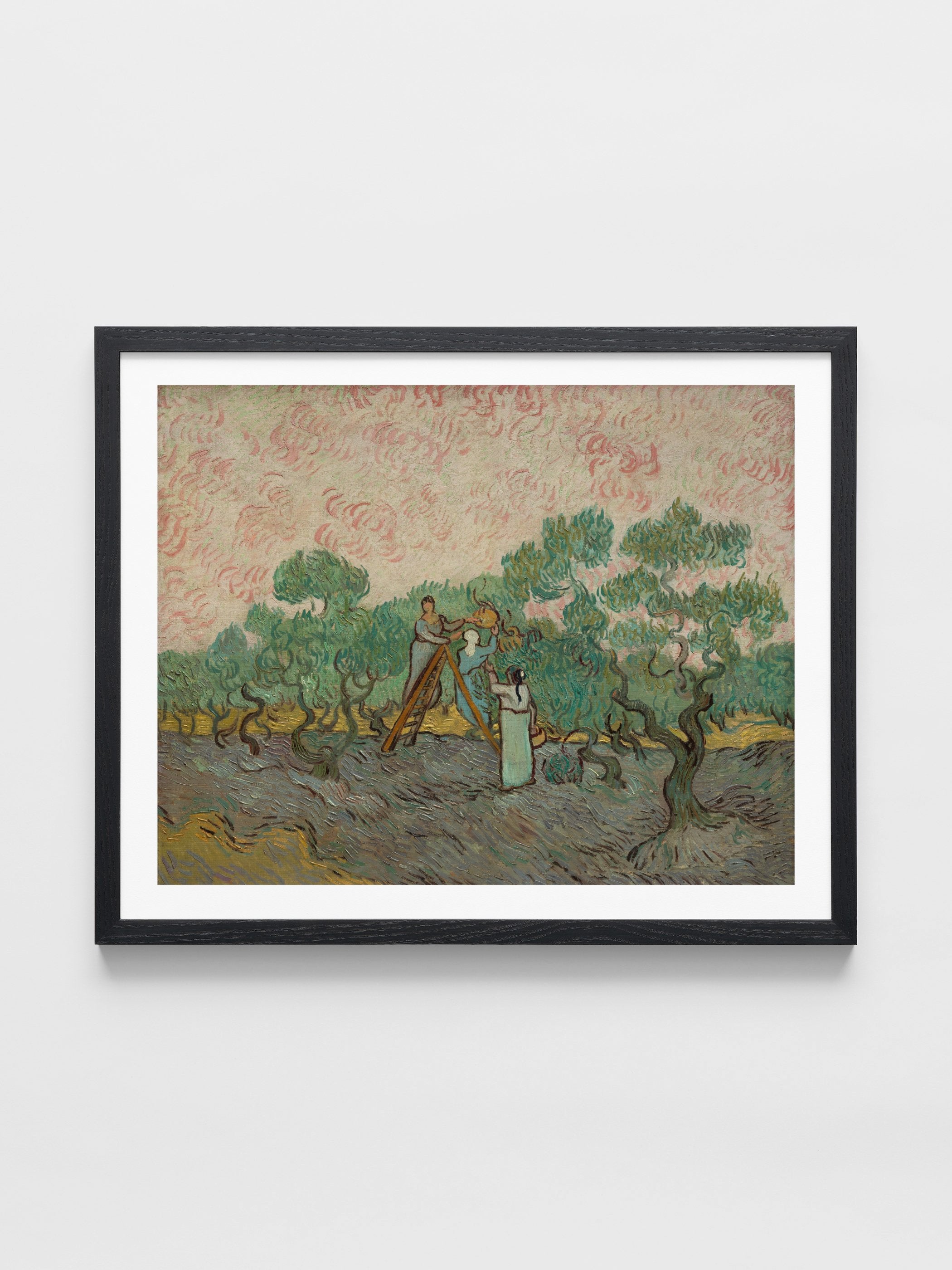 Vincent Van Gogh - Women Picking Olives