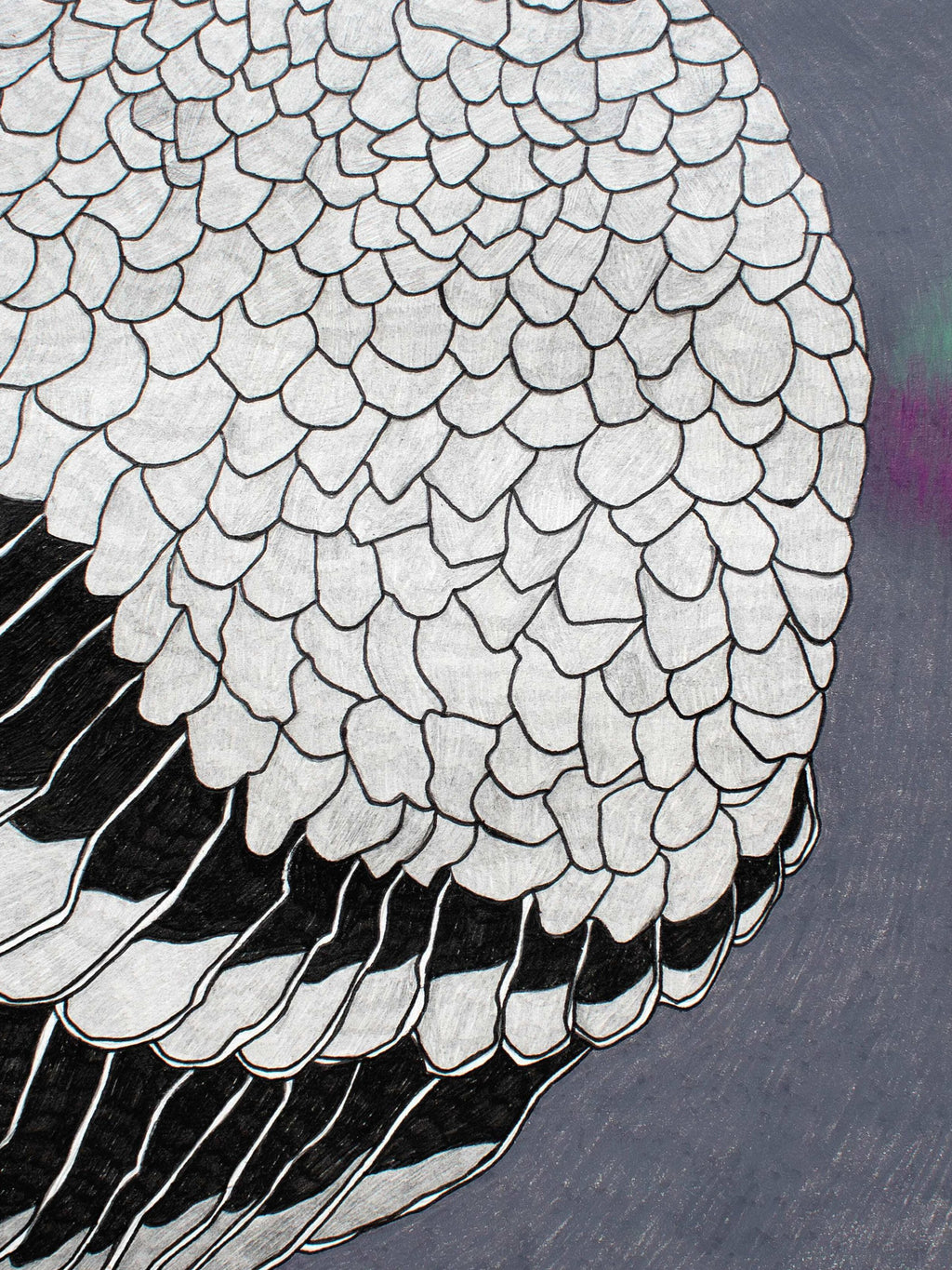 David Elharar - The Pigeon
