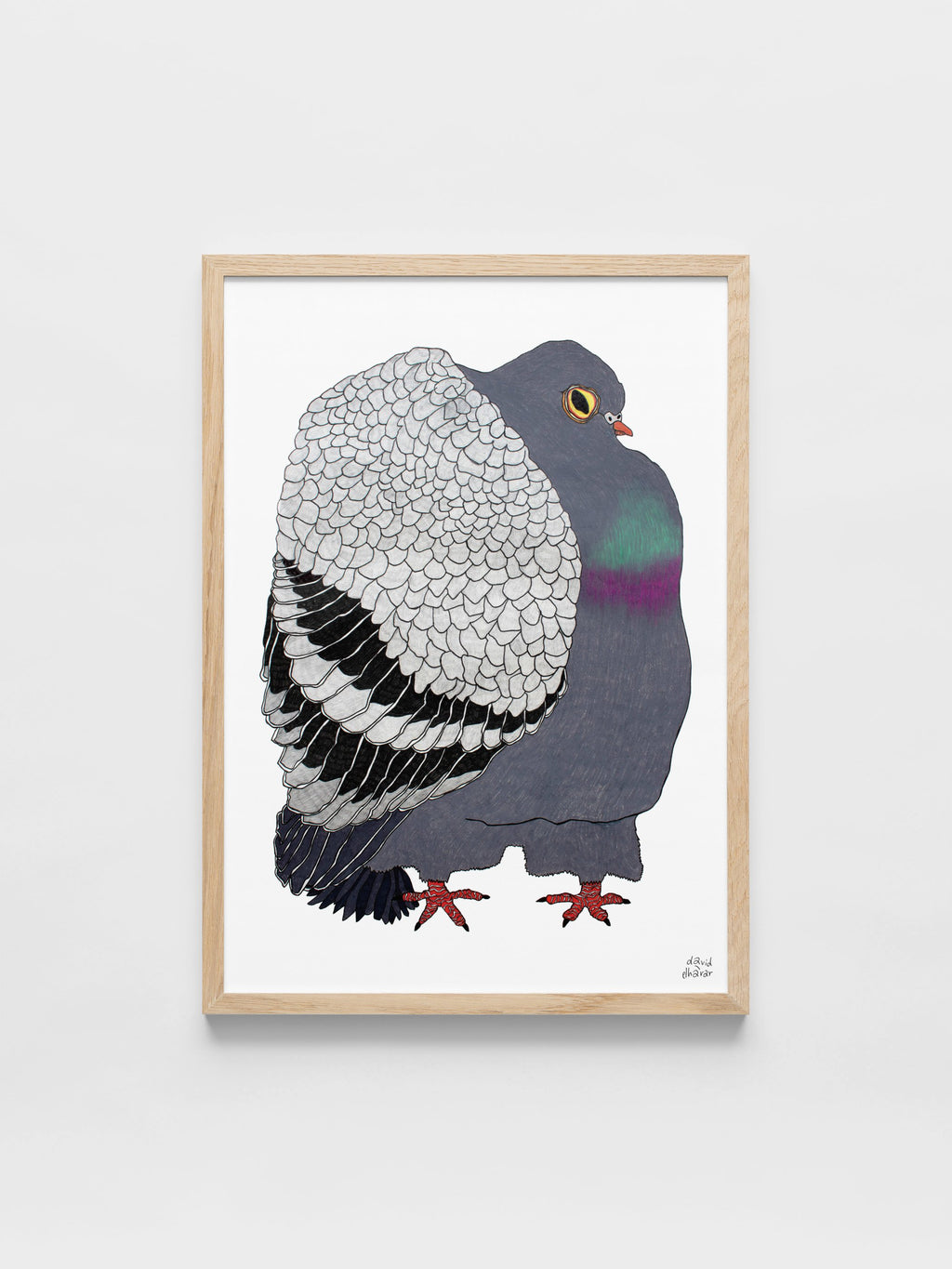 David Elharar - The Pigeon