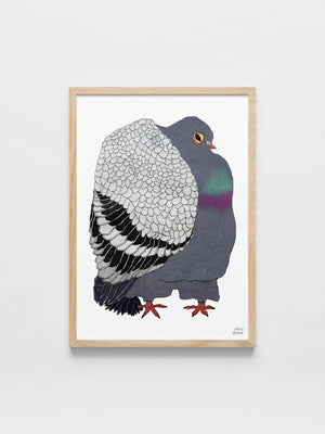 David Elharar - The Pigeon