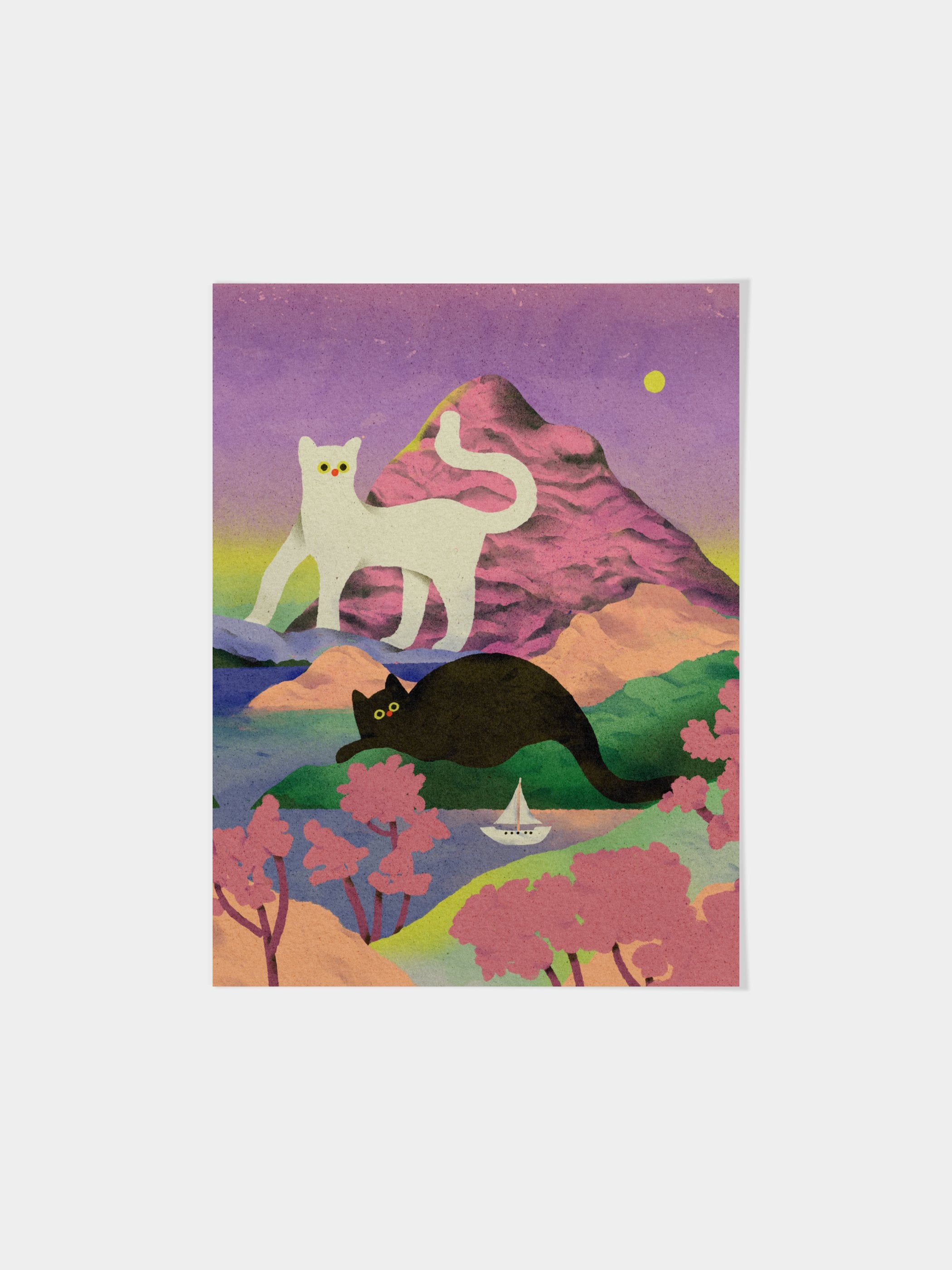 Cat Island