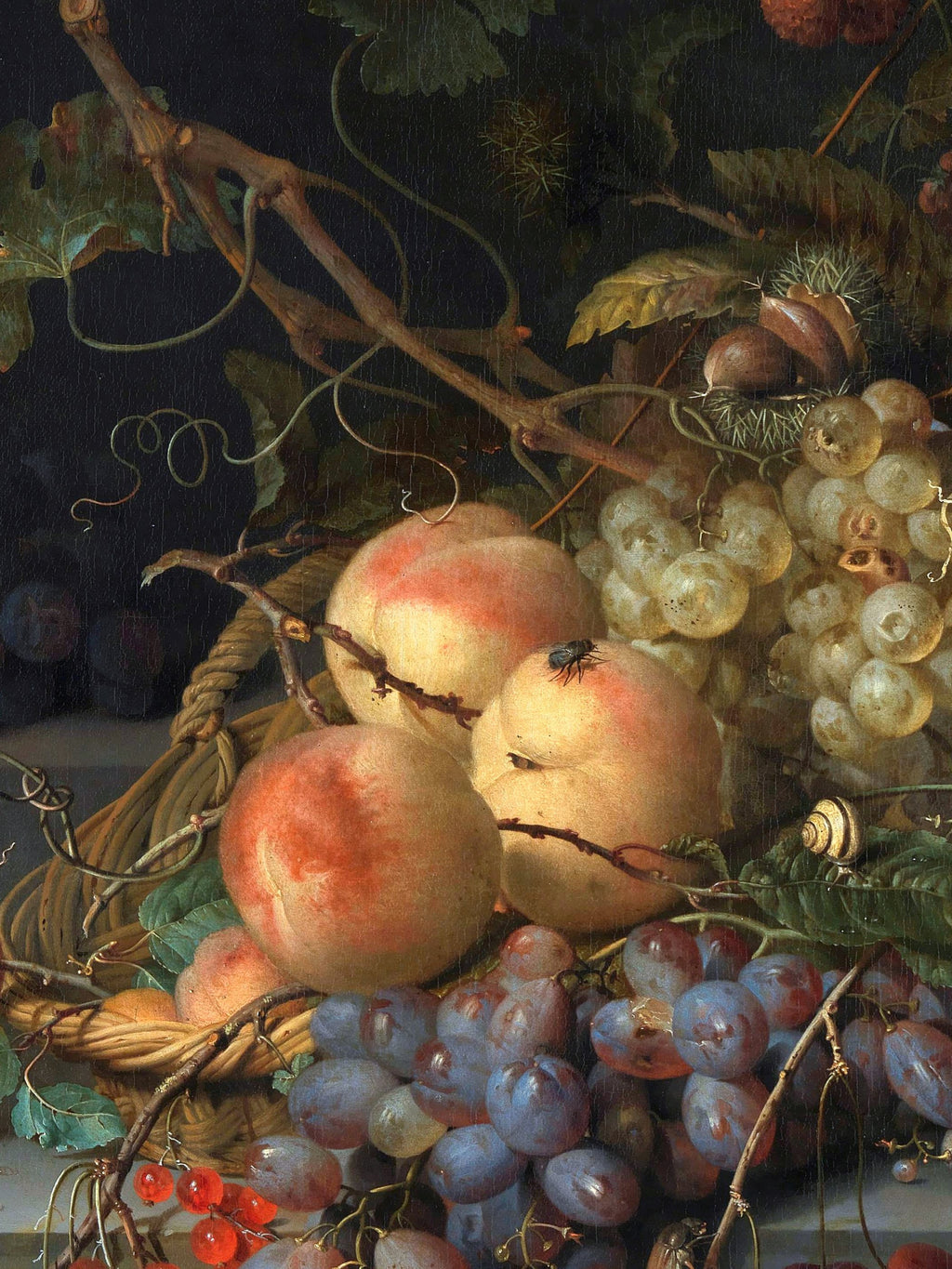 Jacob van Walscapelle - Still Life with Fruit