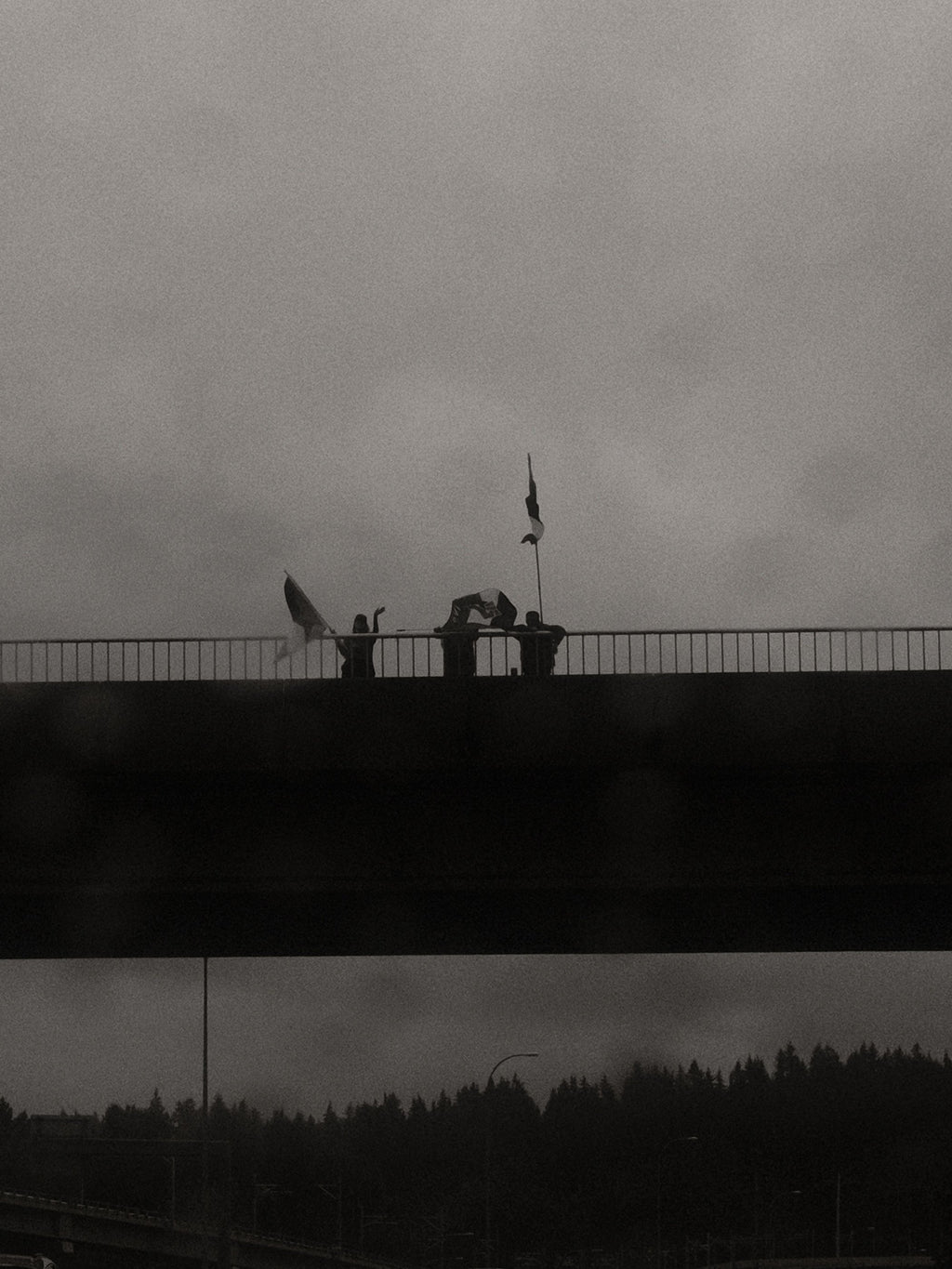 Poppy Steer - Untitled 1- Farsickness