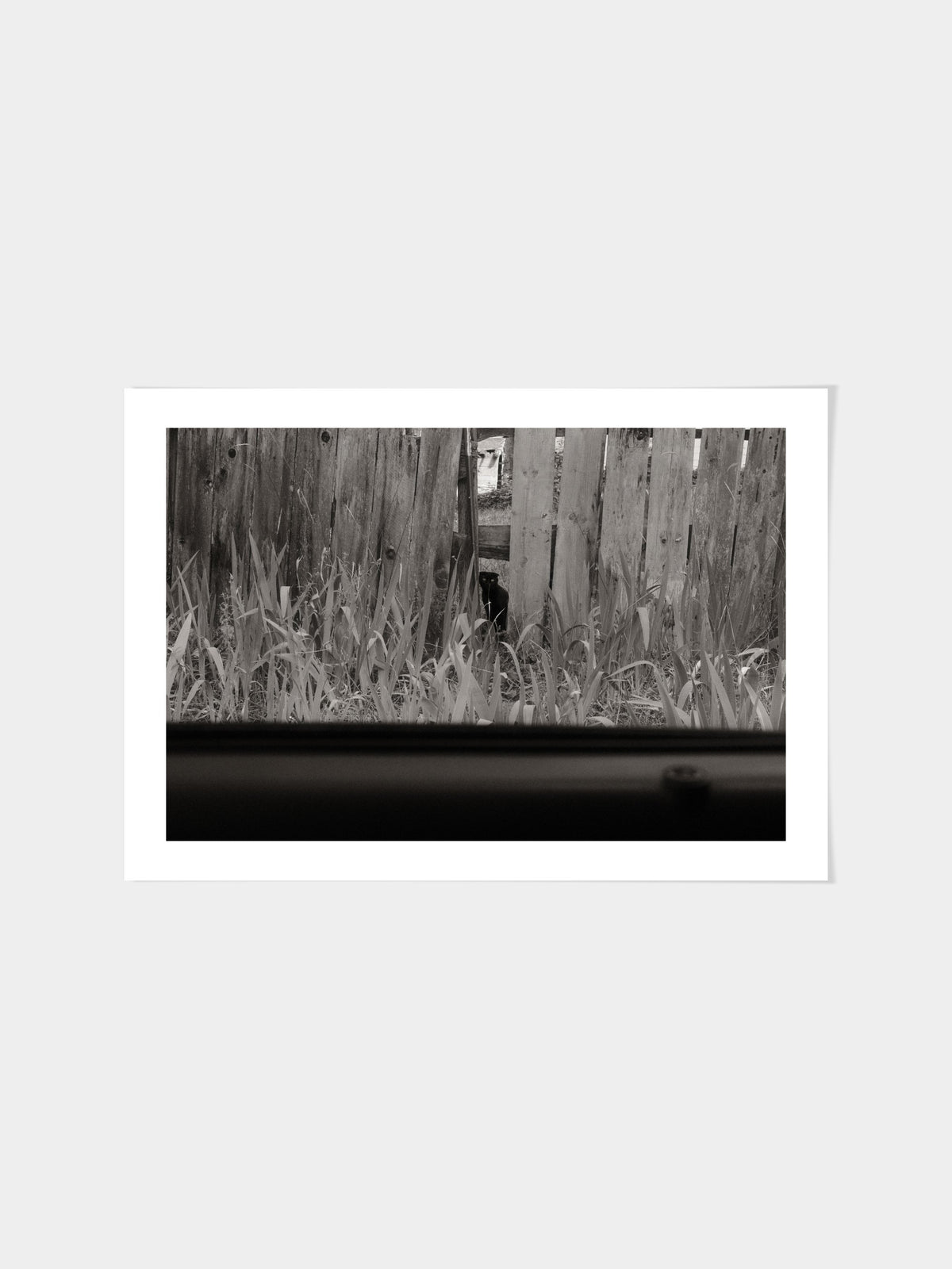 Poppy Steer - Untitled 2- Farsickness