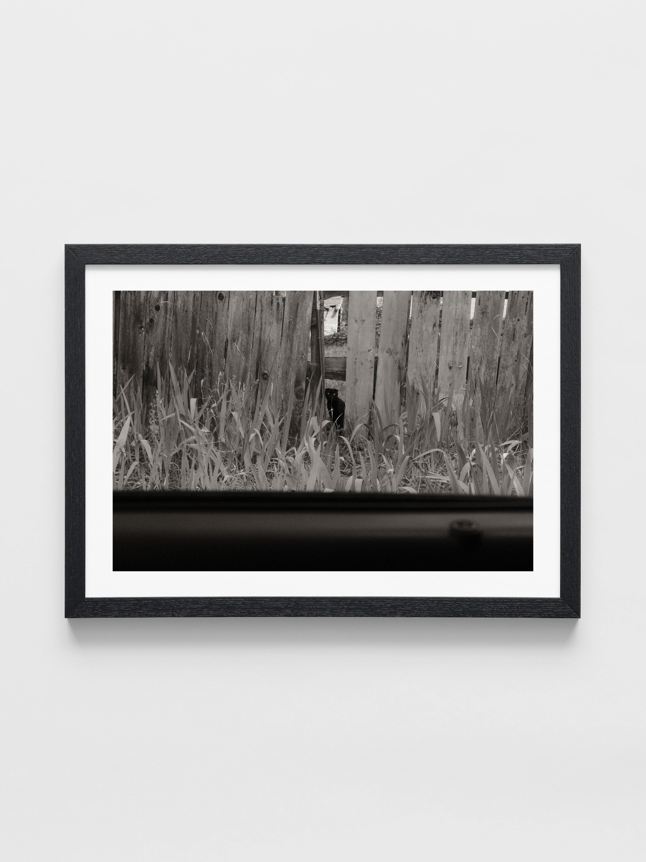 Poppy Steer - Untitled 2- Farsickness